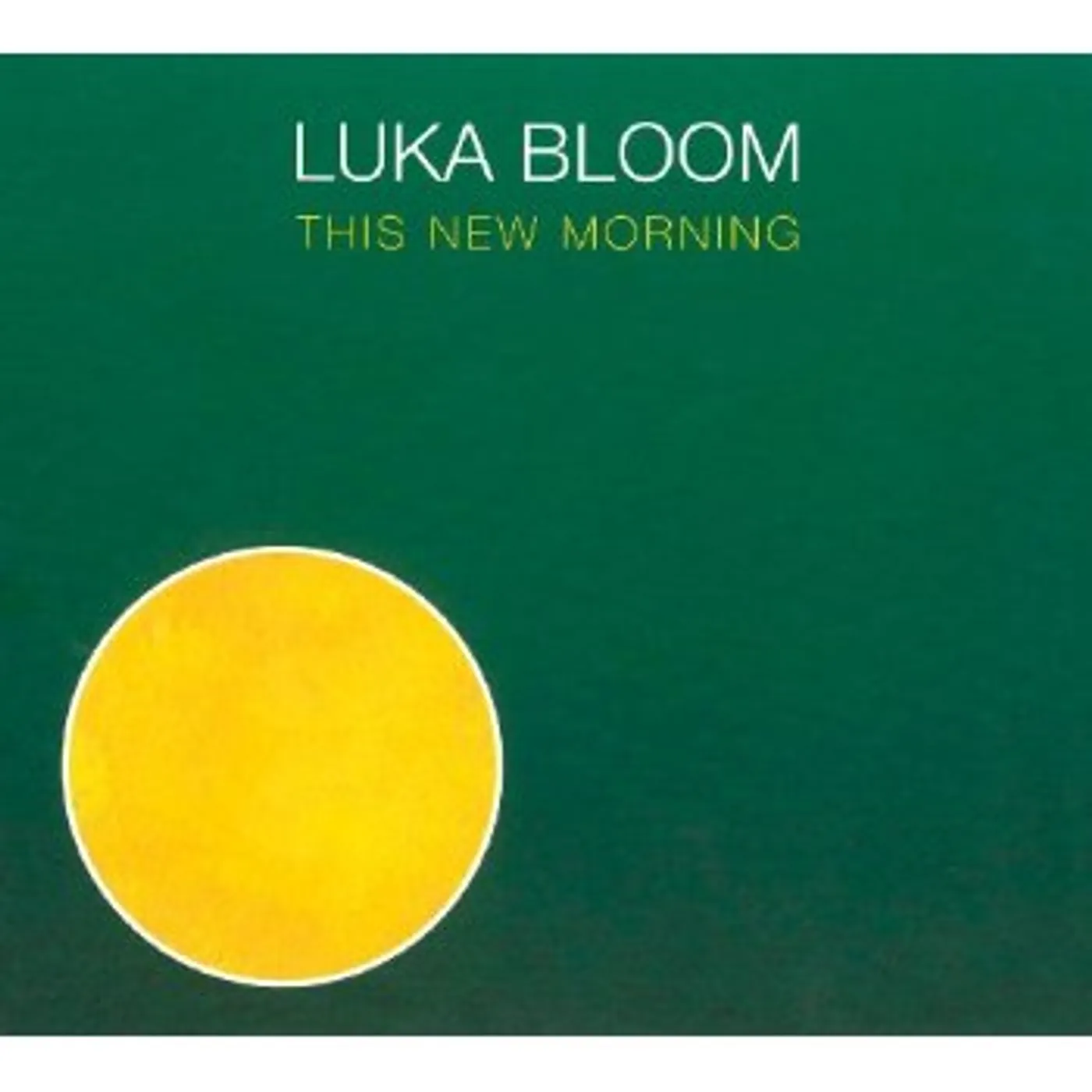 Luka Bloom THIS NEW MORNING CD