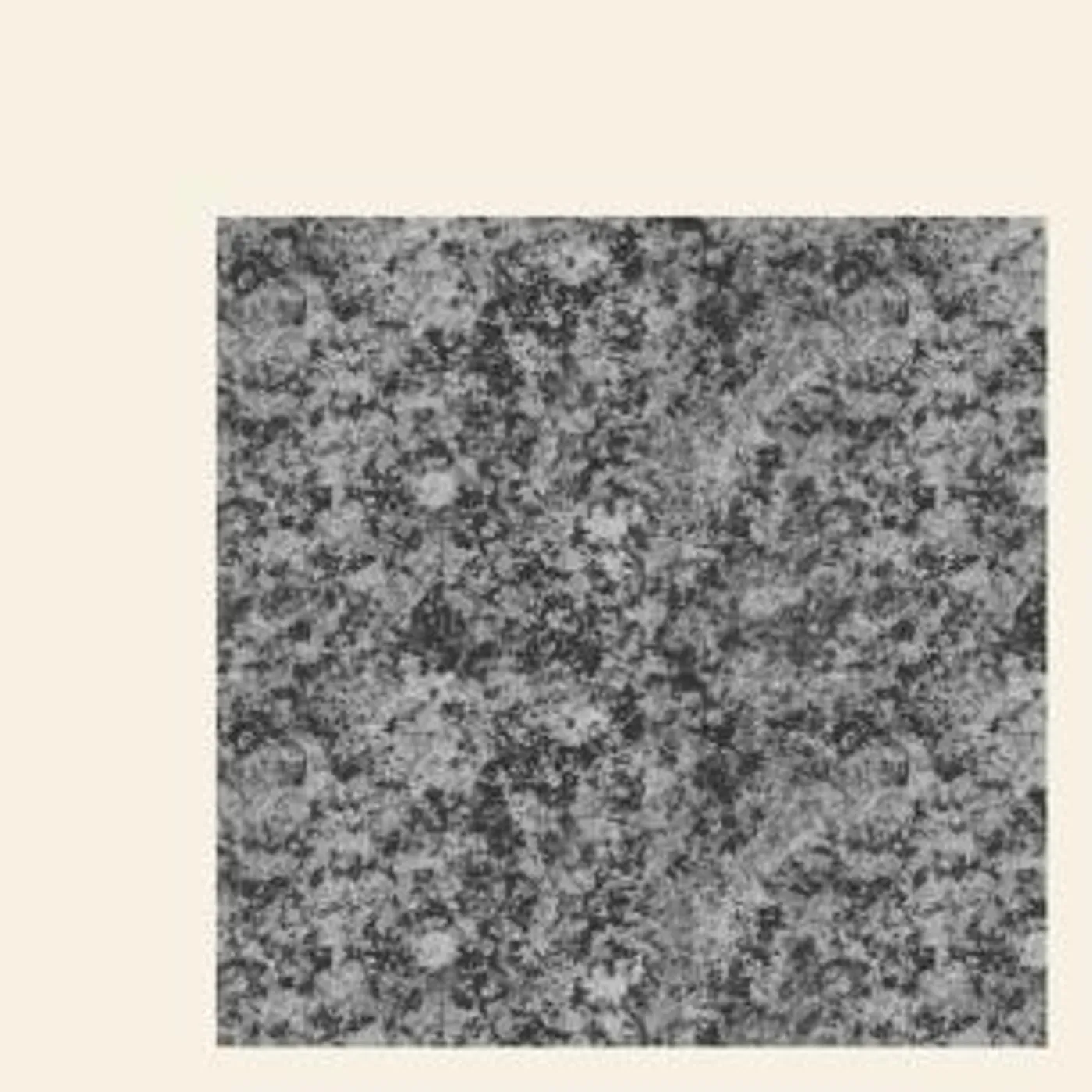 Girls Names NEW LIFE Vinyl Record