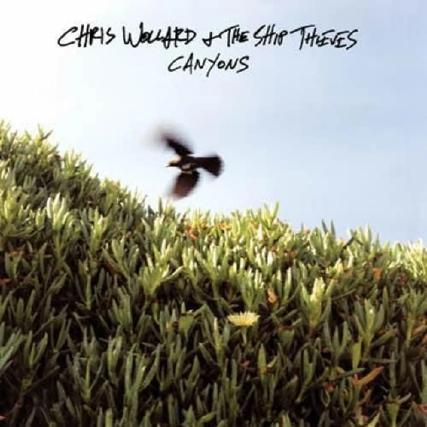 Chris Wollard & The Ship Thieves Canyons Vinyl Record