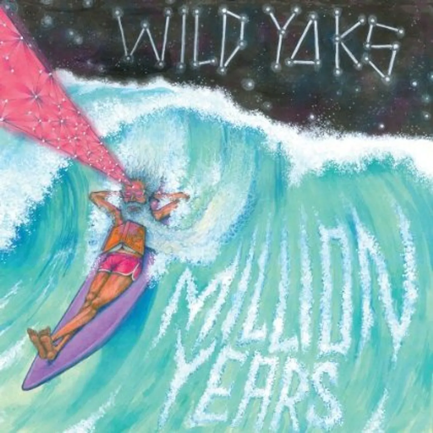 Wild Yaks Million Years Vinyl Record