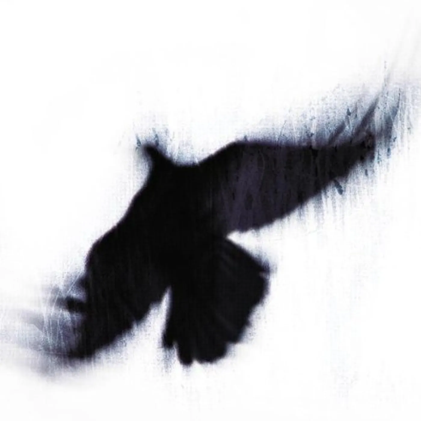 Blueneck FALLEN HOST CD