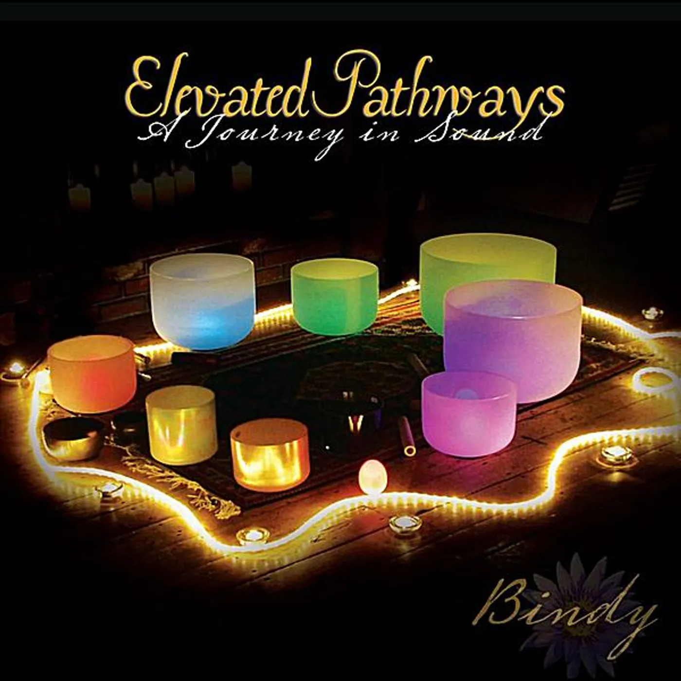 Bindy ELEVATED PATHWAYS CD