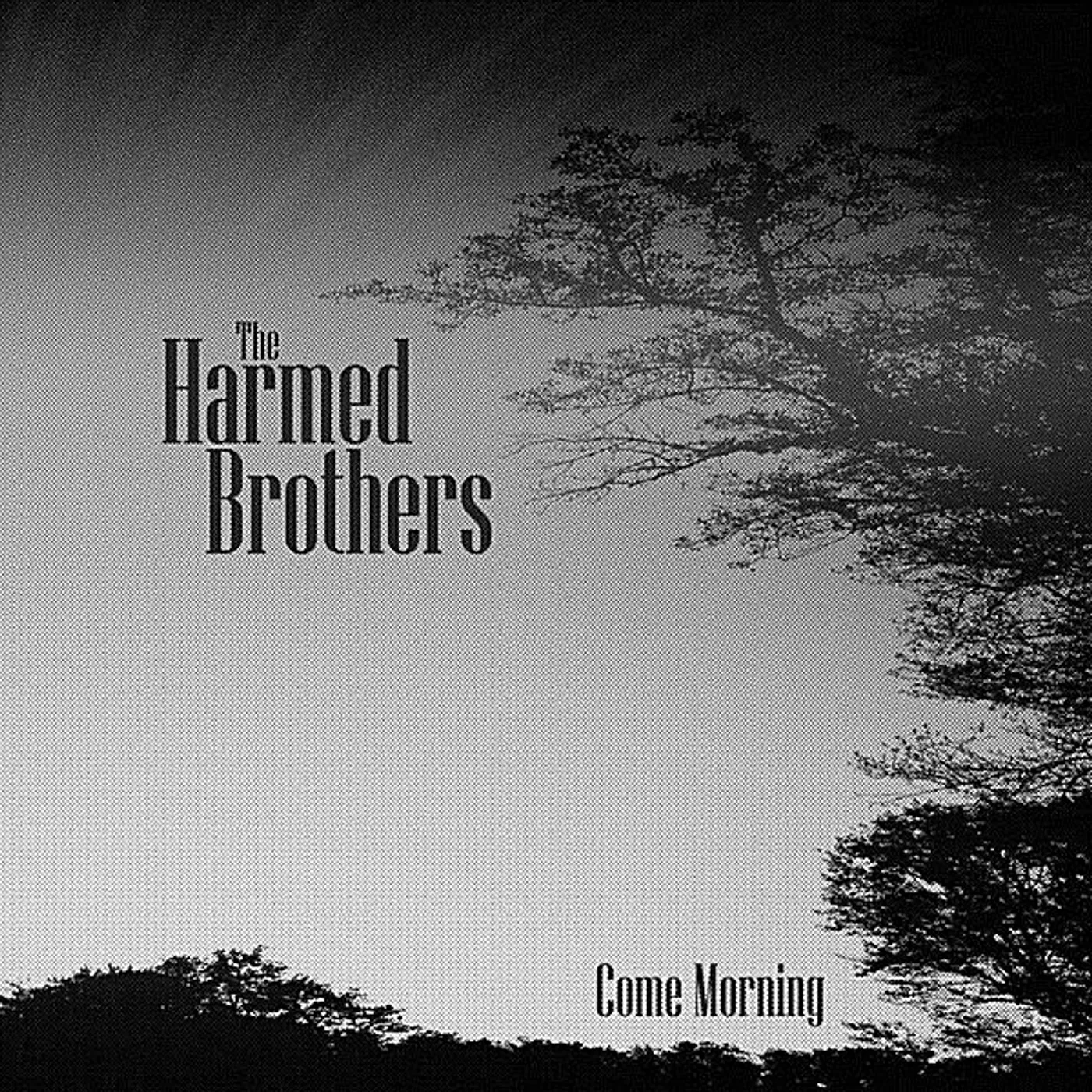 The Harmed Brothers COME MORNING CD