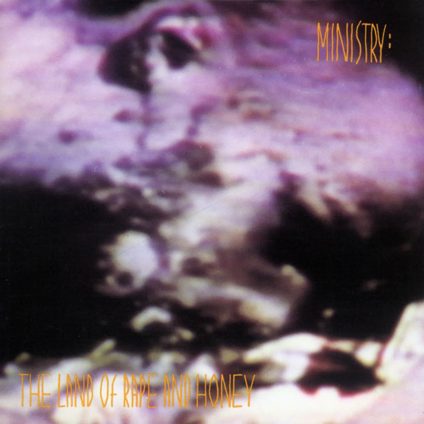Ministry Land Of Rape and Honey Vinyl Record
