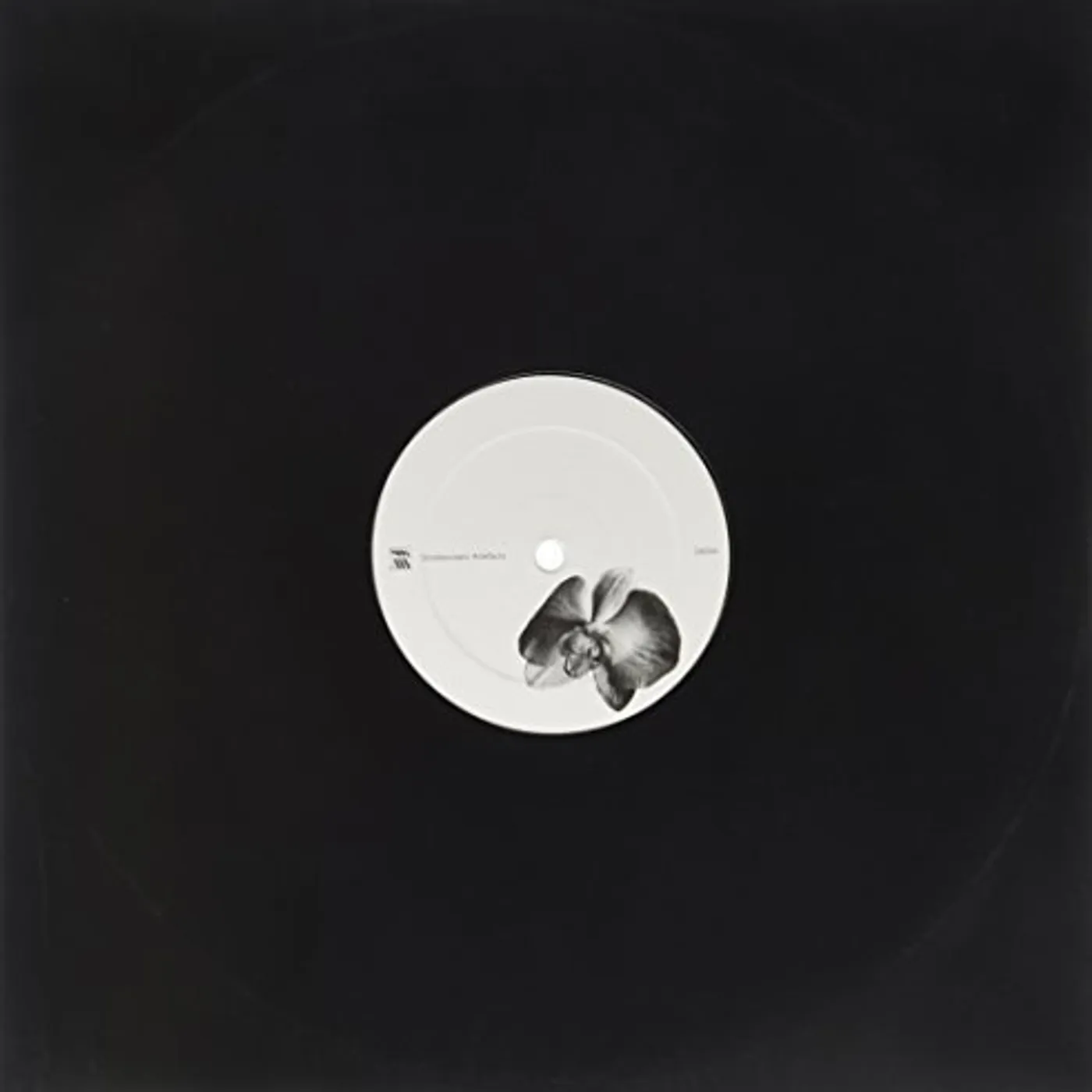 Lucy & Ercolino GMORK/SO THE NOTHING GROWS STRONGER Vinyl Record