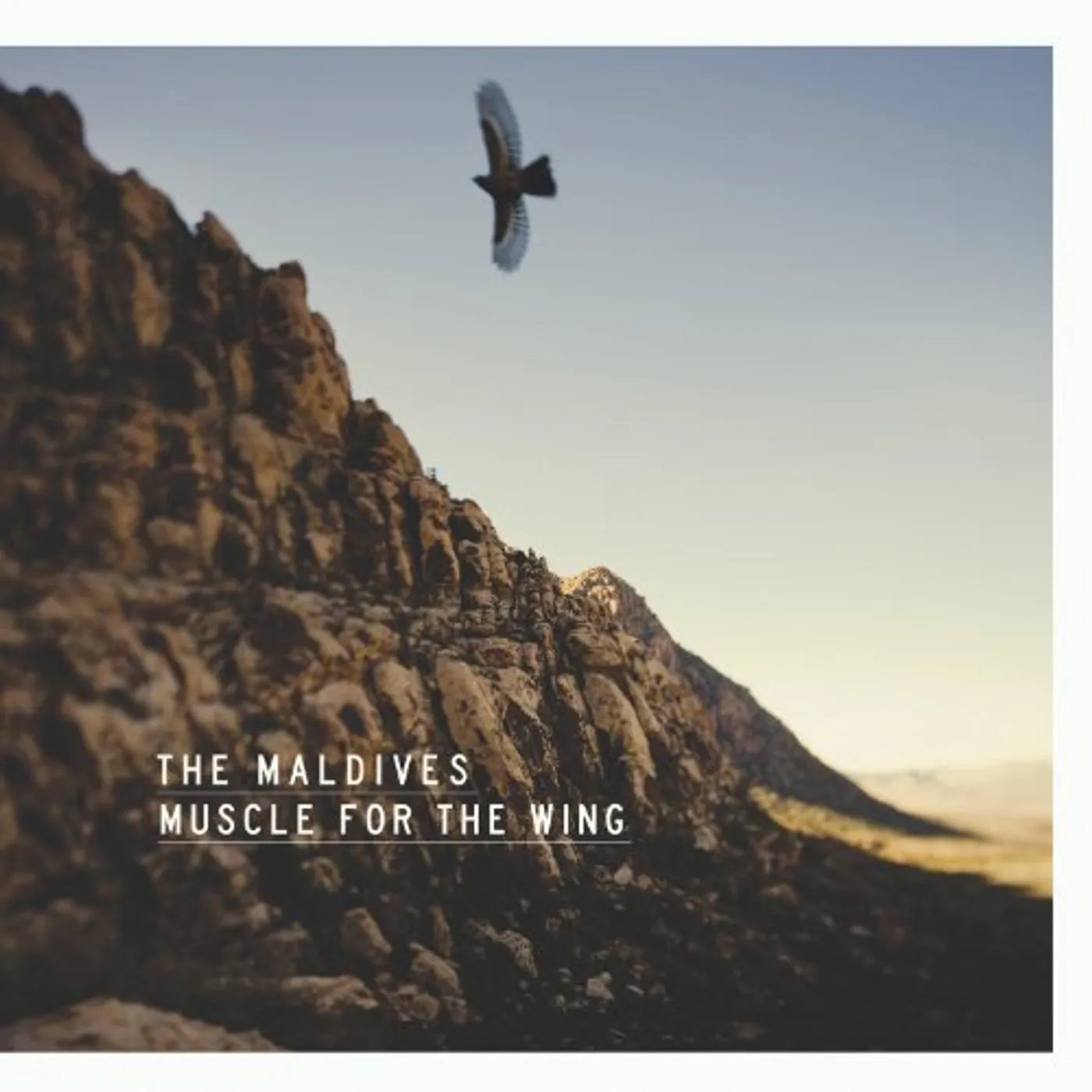 The Maldives MUSCLE FOR WING Vinyl Record