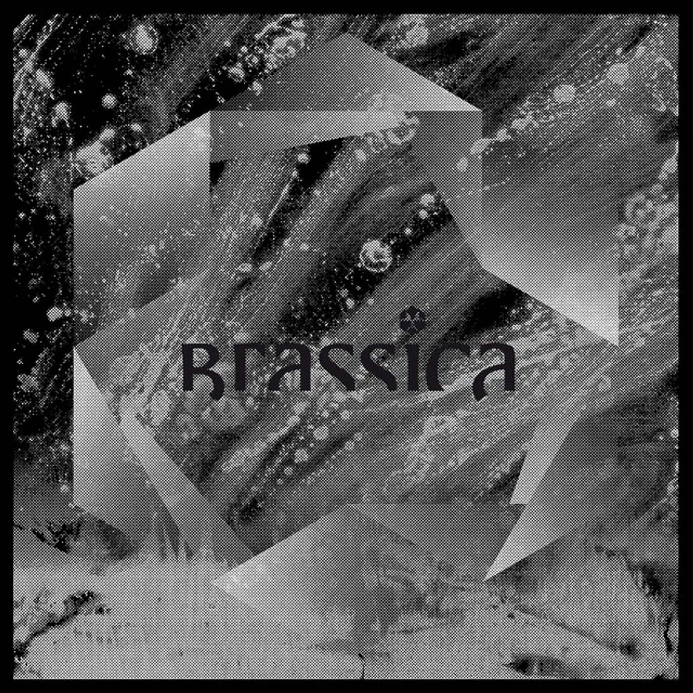 Brassica TEMPLE FORTUNE (EP) Vinyl Record