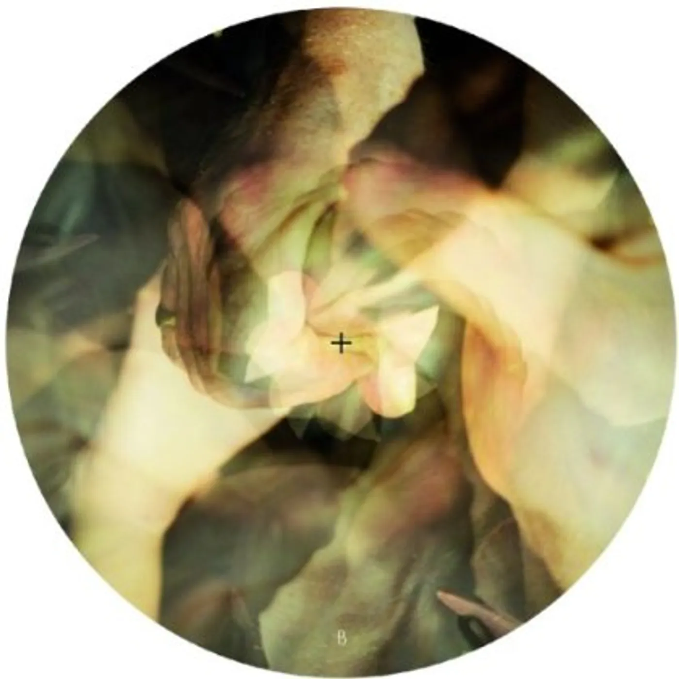 Wareika Burnin Vinyl Record