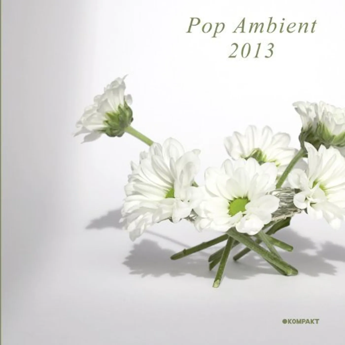 POP AMBIENT 2013 / VARIOUS Vinyl Record