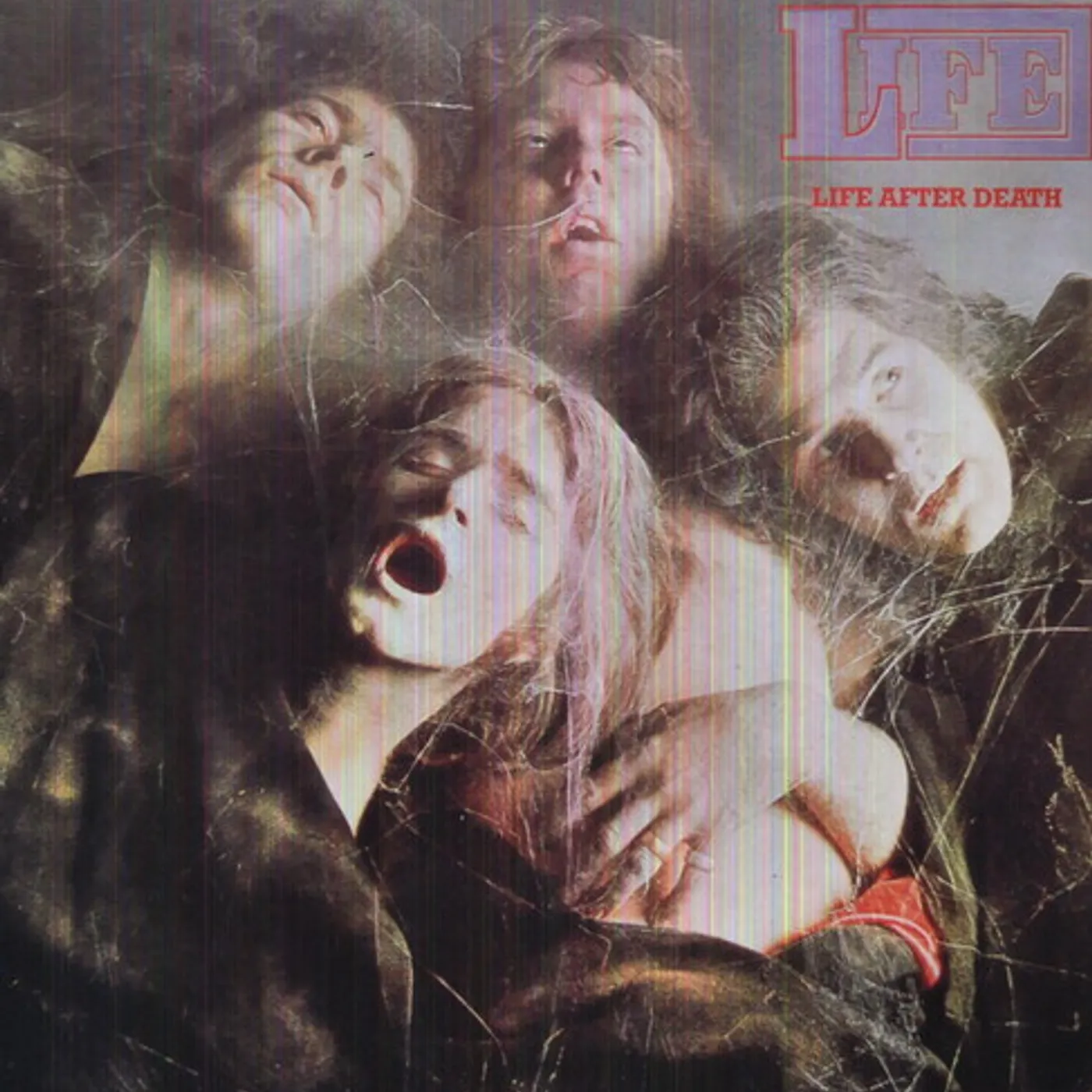 Life After Death Vinyl Record