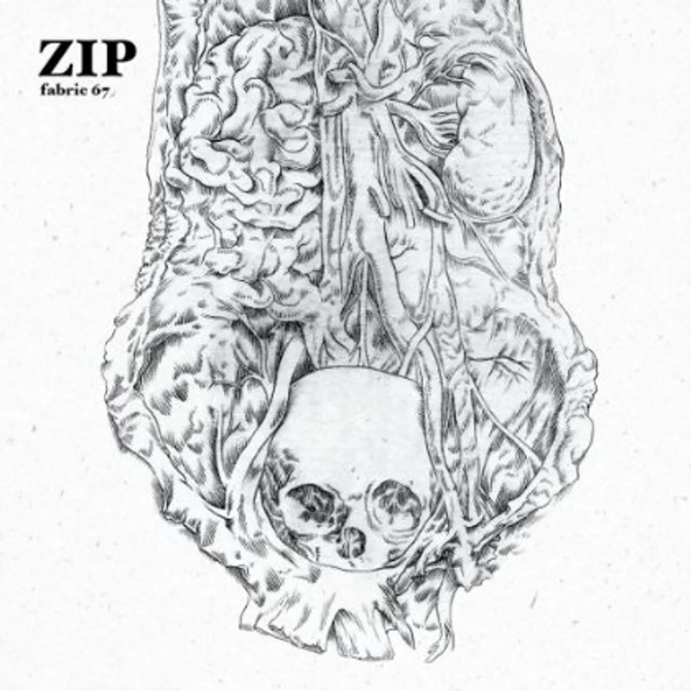 Zip FABRIC 67 CD