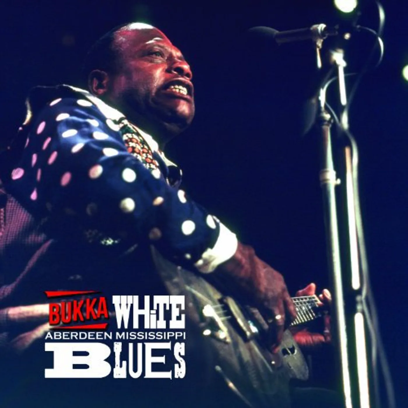 Bukka White Aberdeen Mississippi Blues Vinyl Record