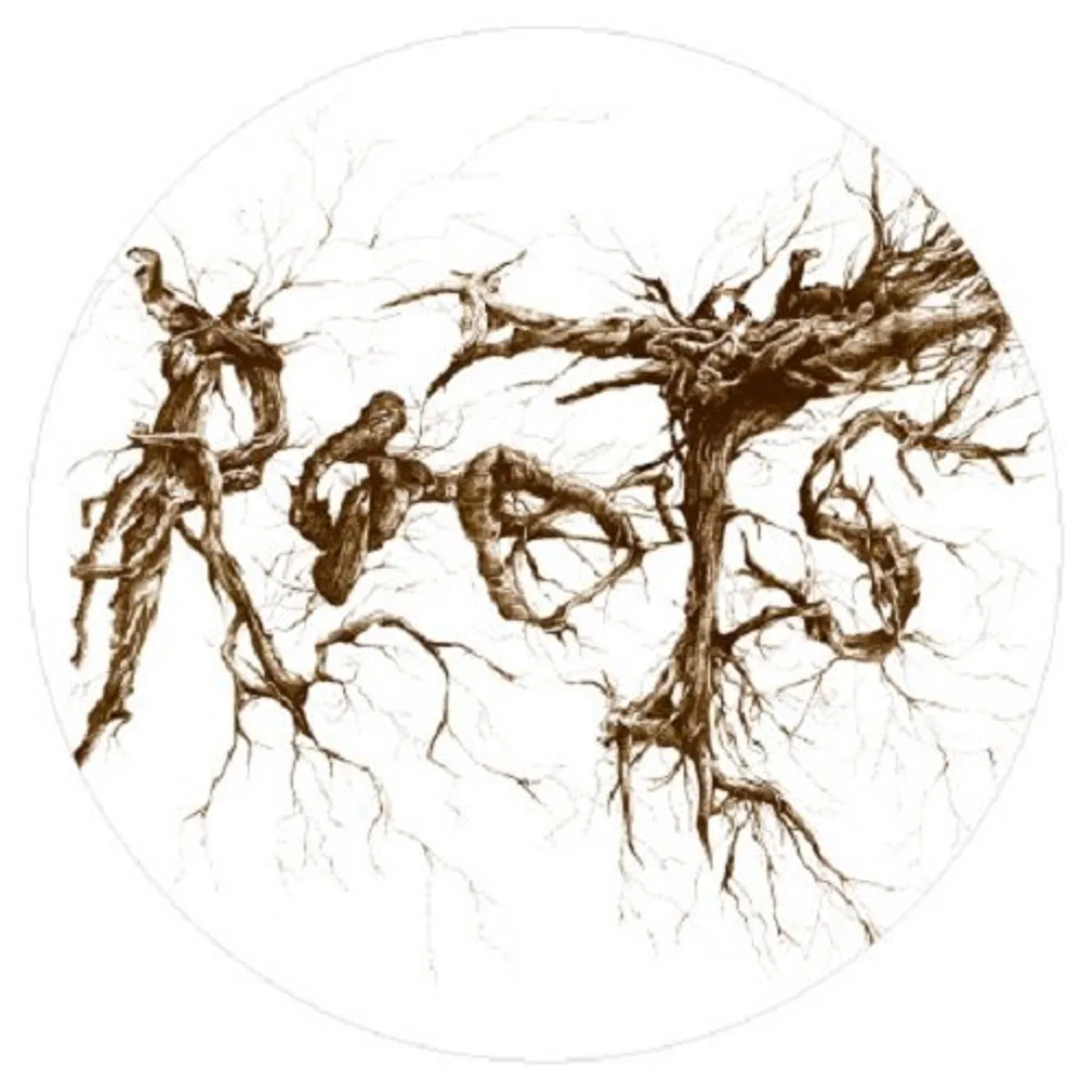 Marco Resmann Roots Vinyl Record