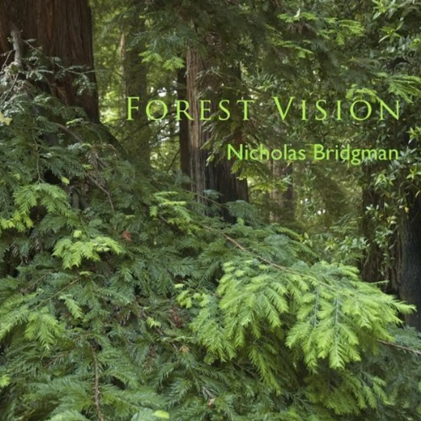 Nicholas Bridgman FOREST VISION CD
