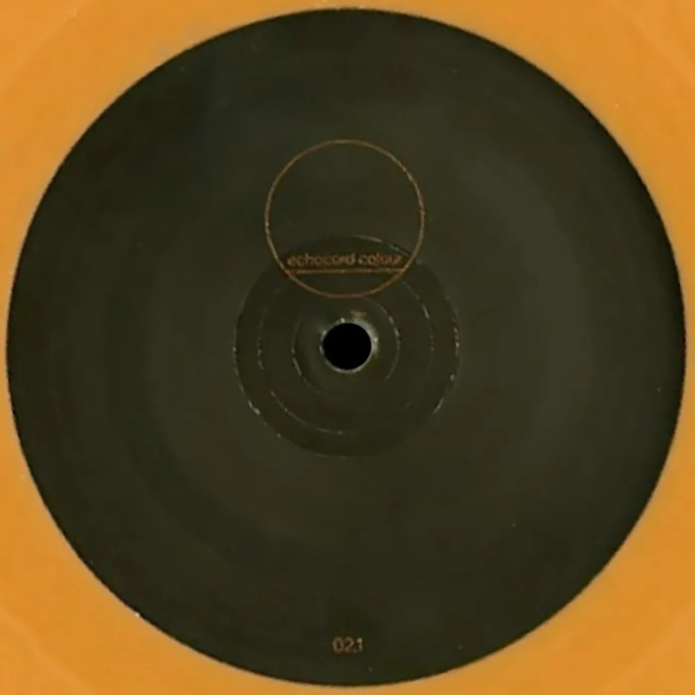 Echologist BUZZ FACTORY Vinyl Record