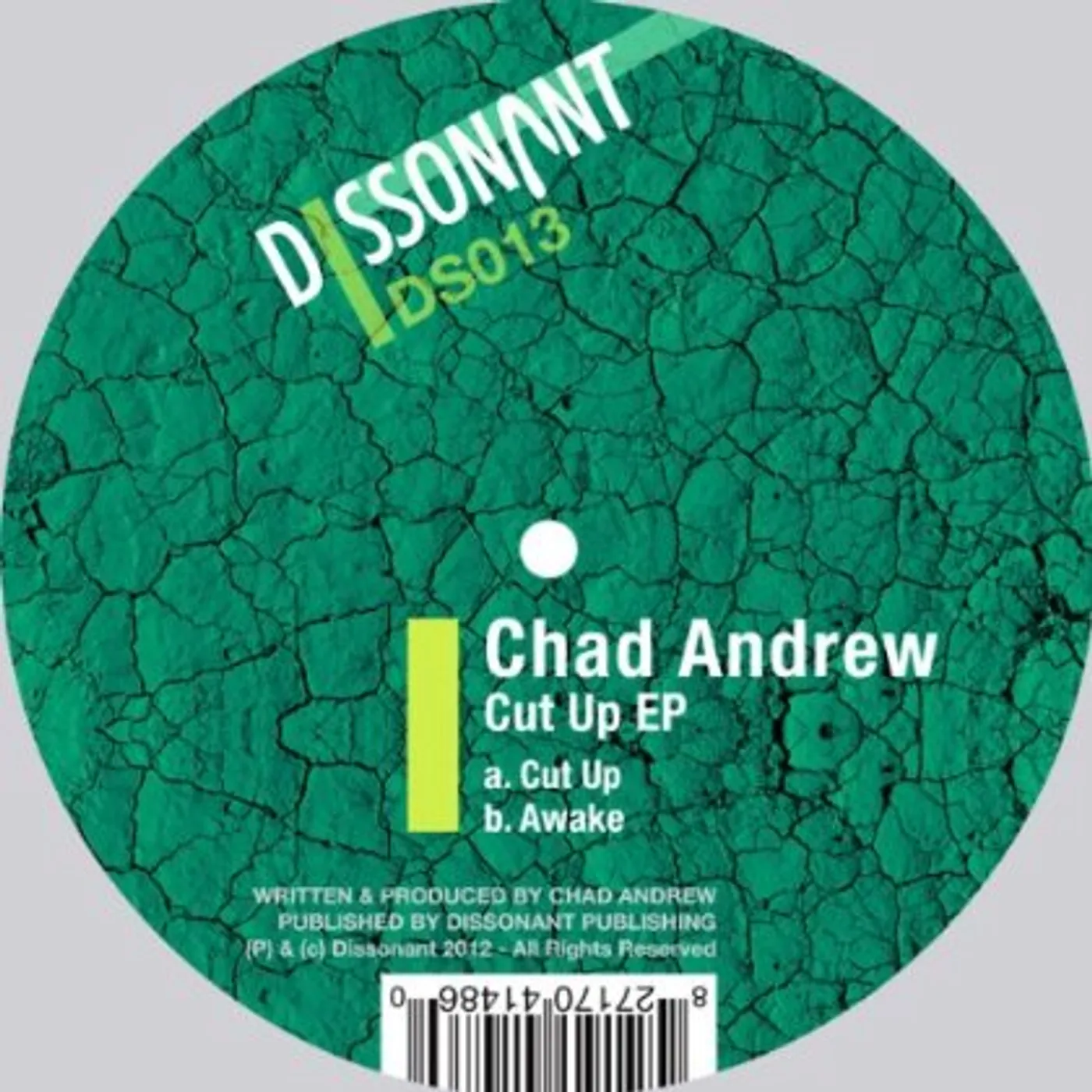 Chad Andrew Cut Up Vinyl Record