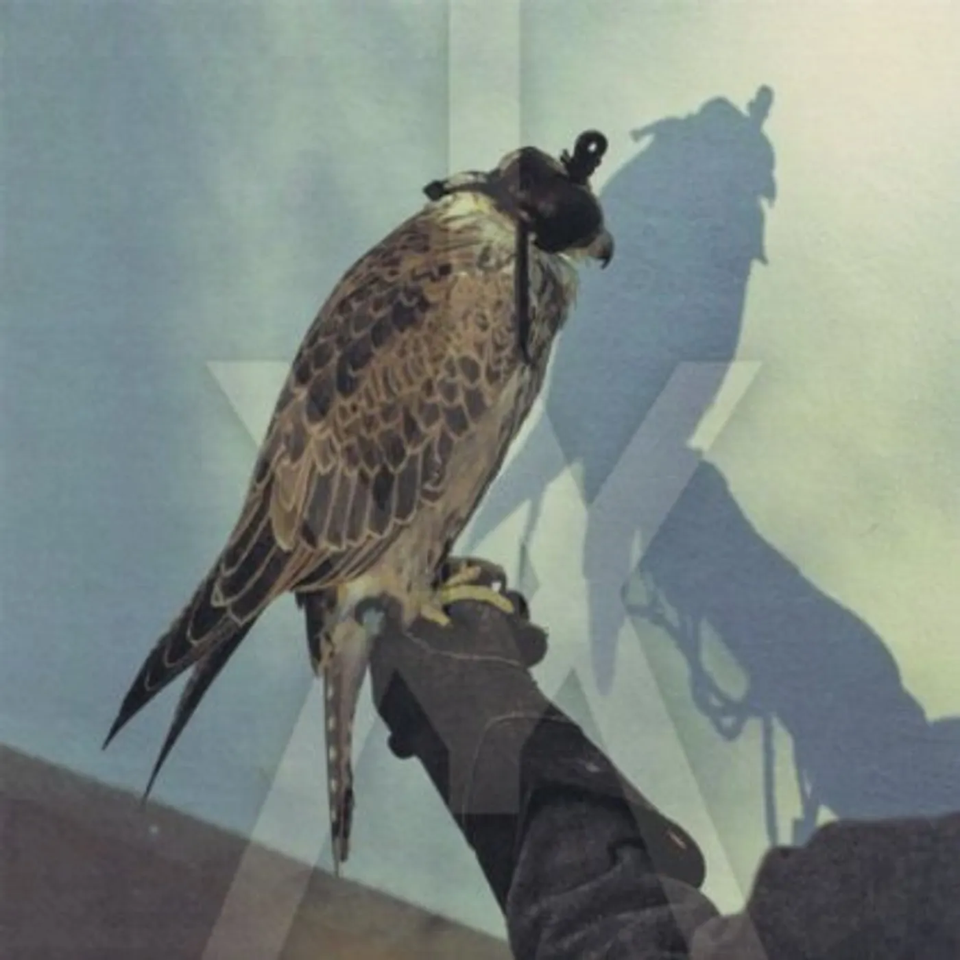 Iceage YOU'RE NOTHING CD
