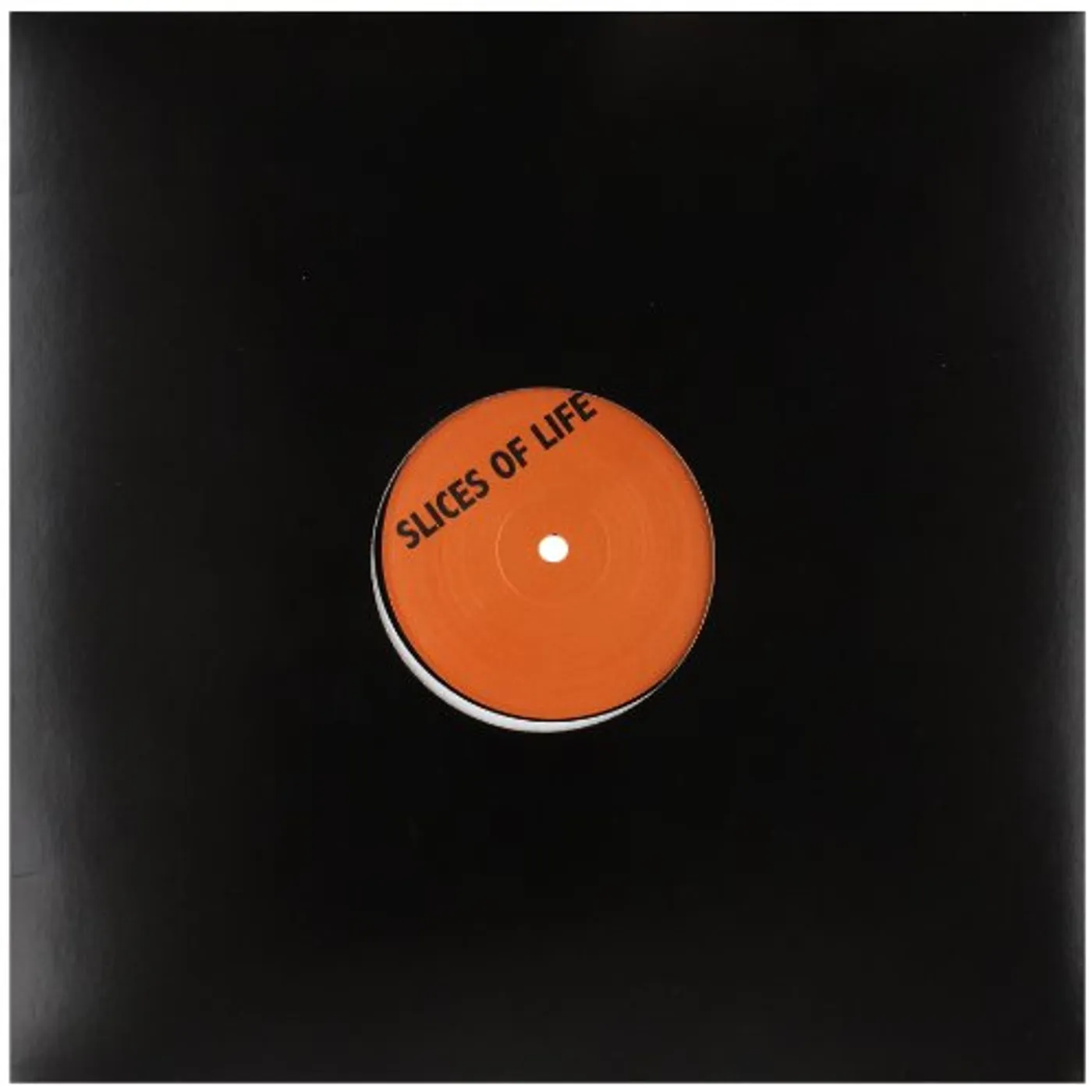 Mole HANG IN THERE FRY GUY Vinyl Record
