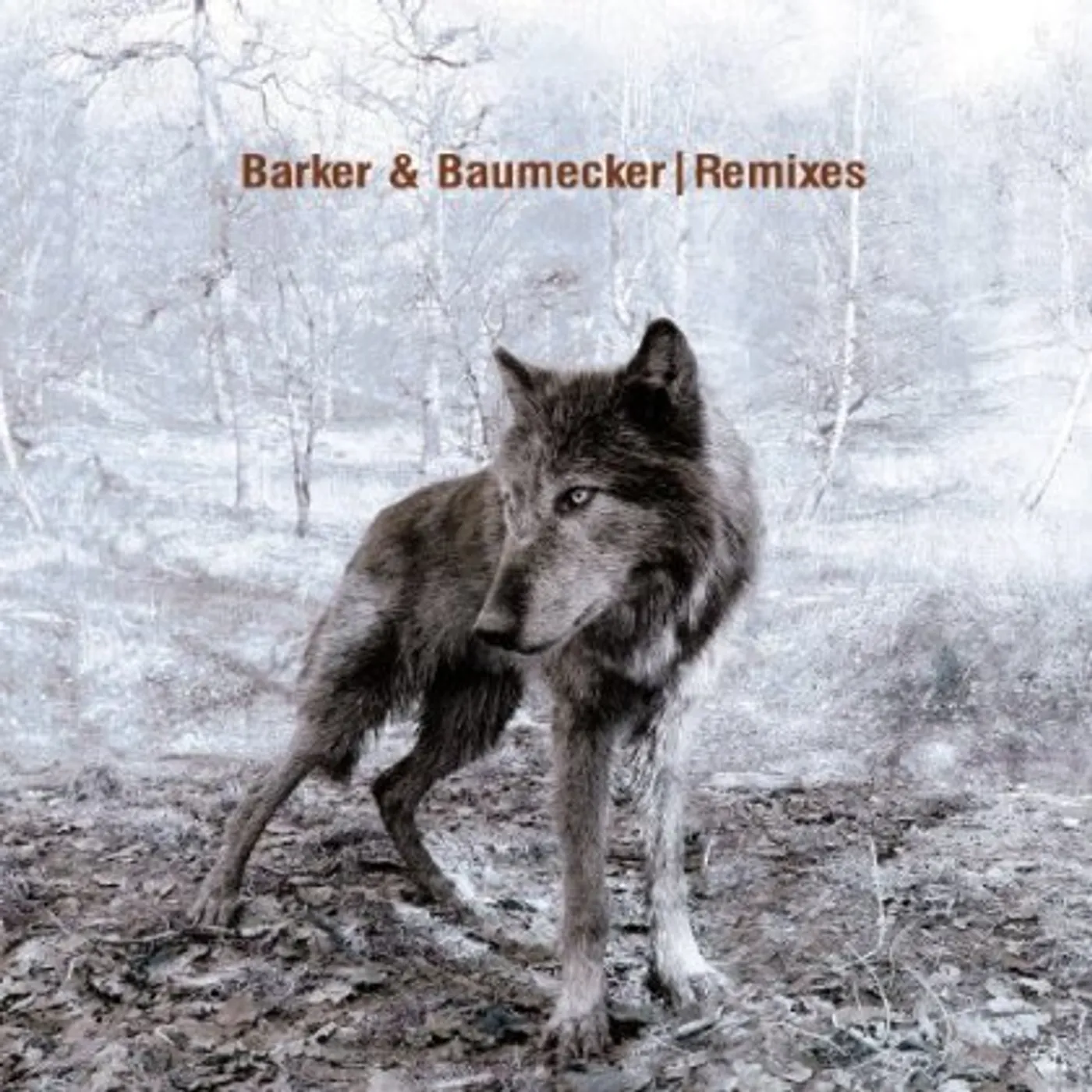 Barker & Baumecker Remixes Vinyl Record