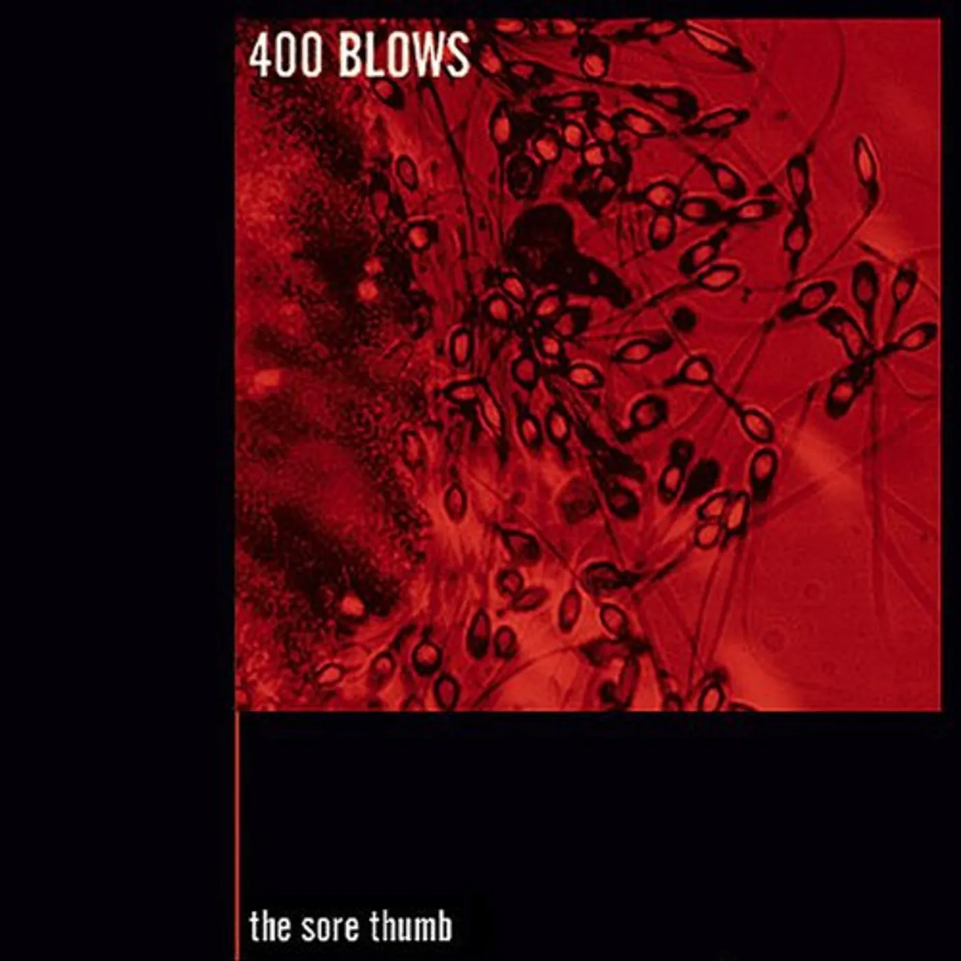 400 Blows SORE THUMB Vinyl Record