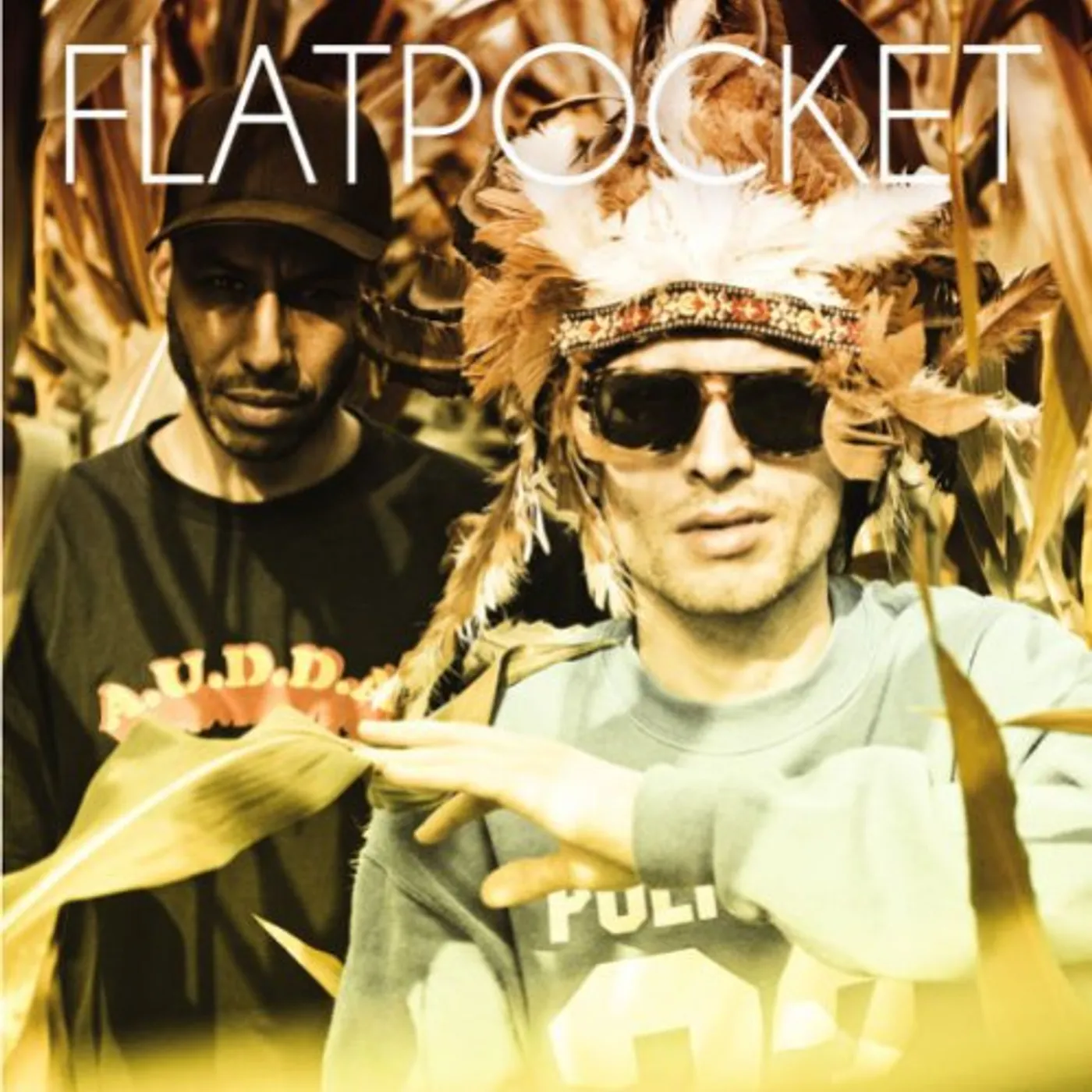 Flatpocket GELDFUNDPHANTASYEN (Vinyl)