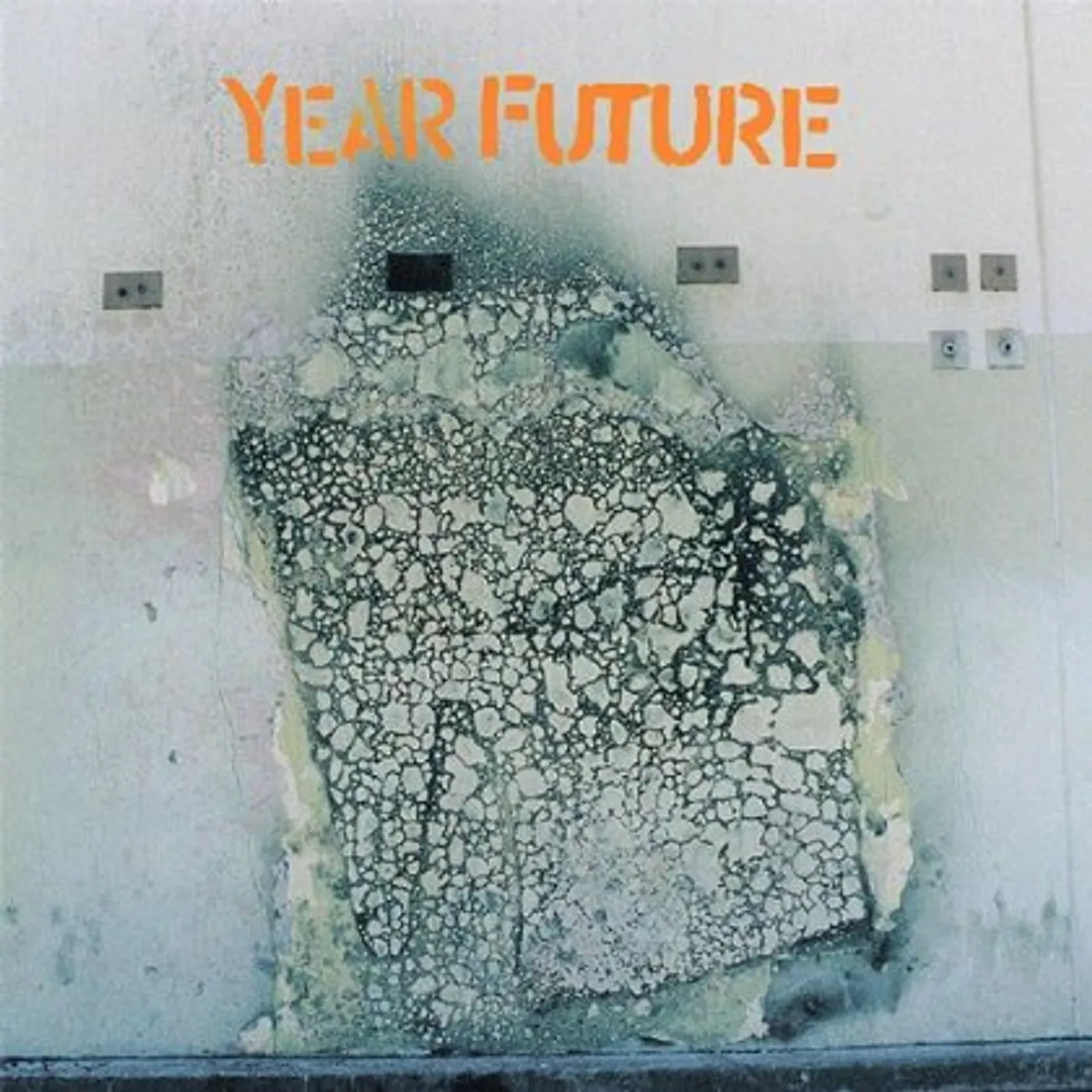 Year Future Vinyl Record
