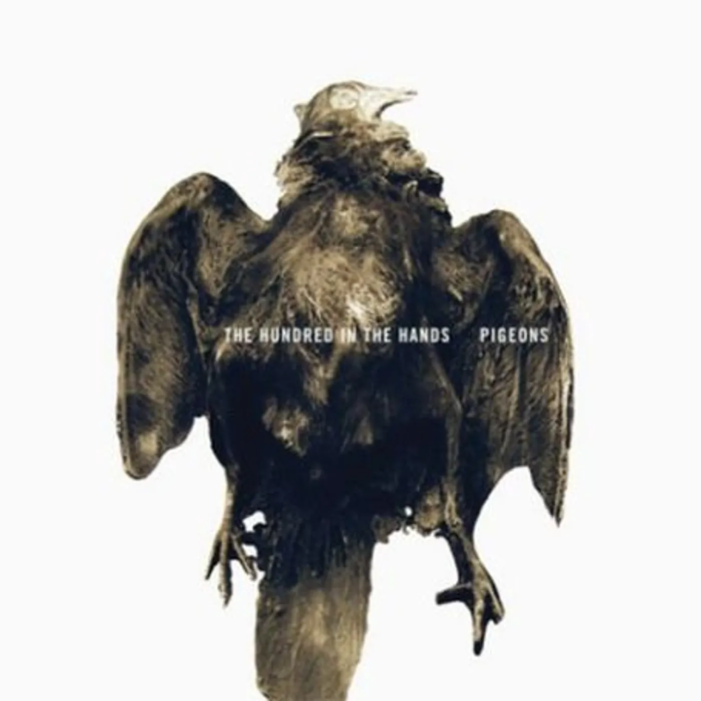 The Hundred In The Hands Pigeons Vinyl Record