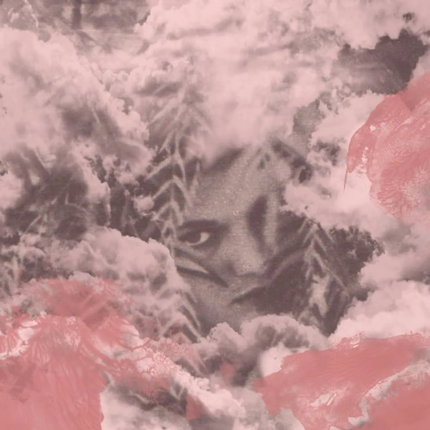 Dog Bite Velvet Changes Vinyl Record