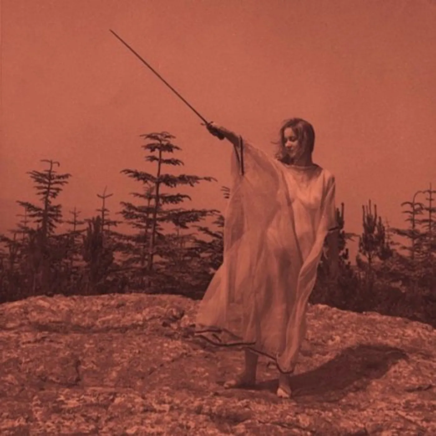 Unknown Mortal Orchestra II Vinyl Record