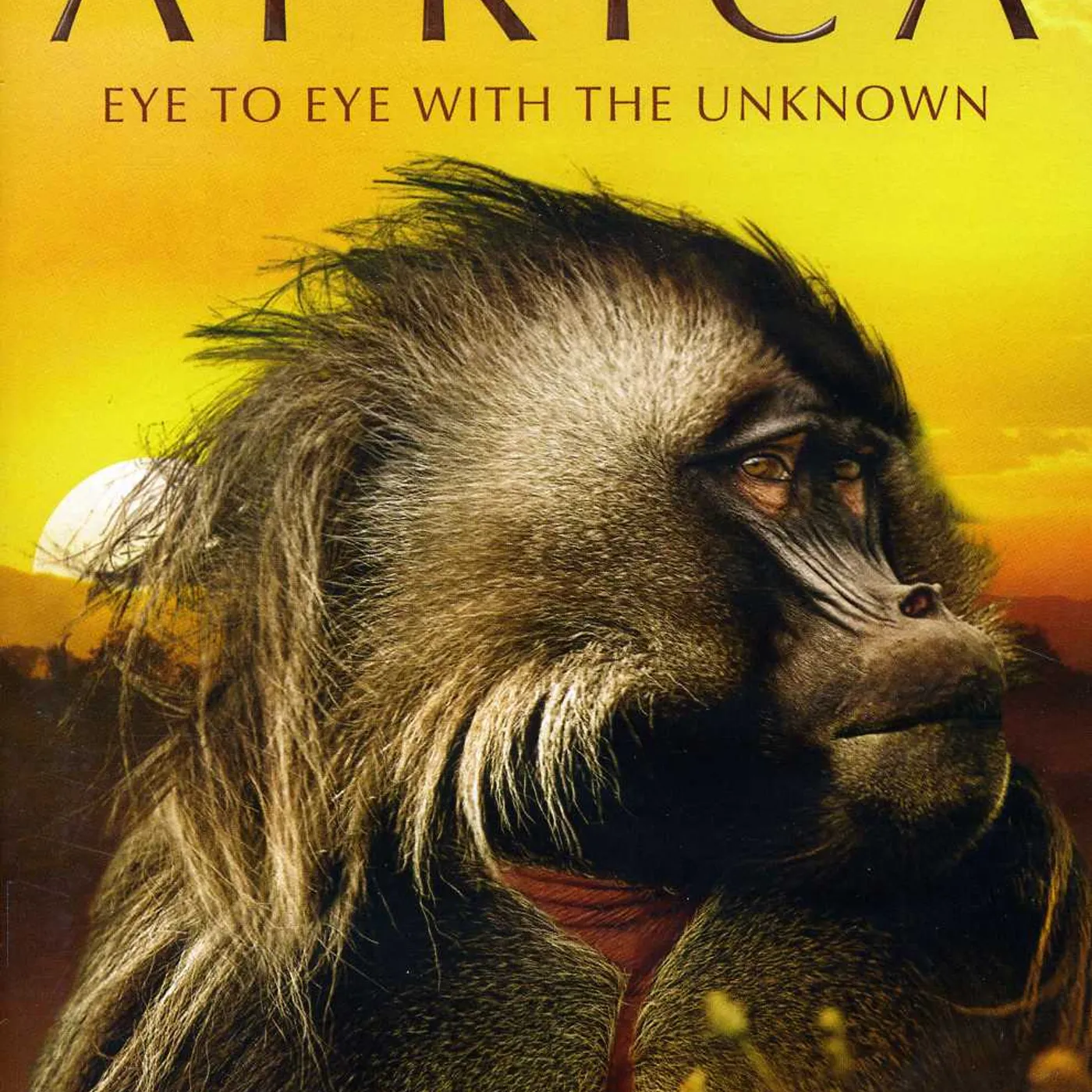 Africa DVD