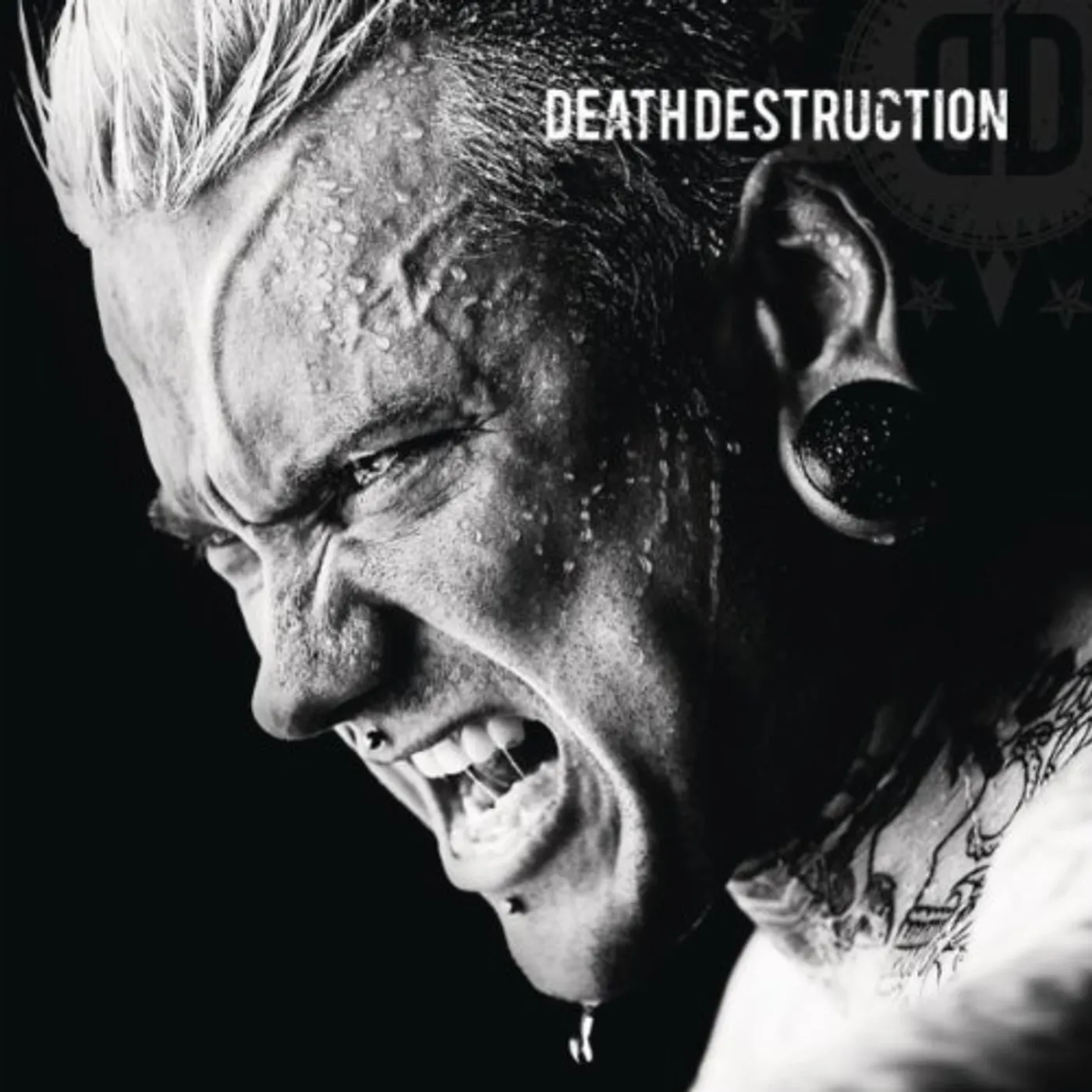 Death Destruction Vinyl Record