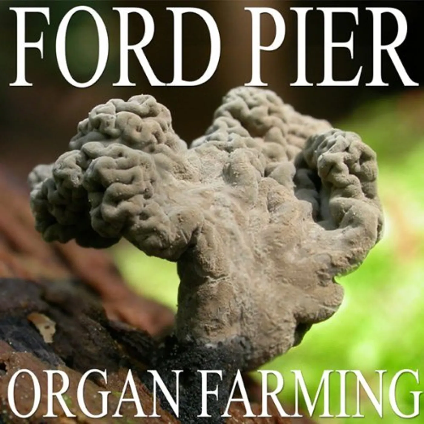 Ford Pier ORGAN FARMING CD