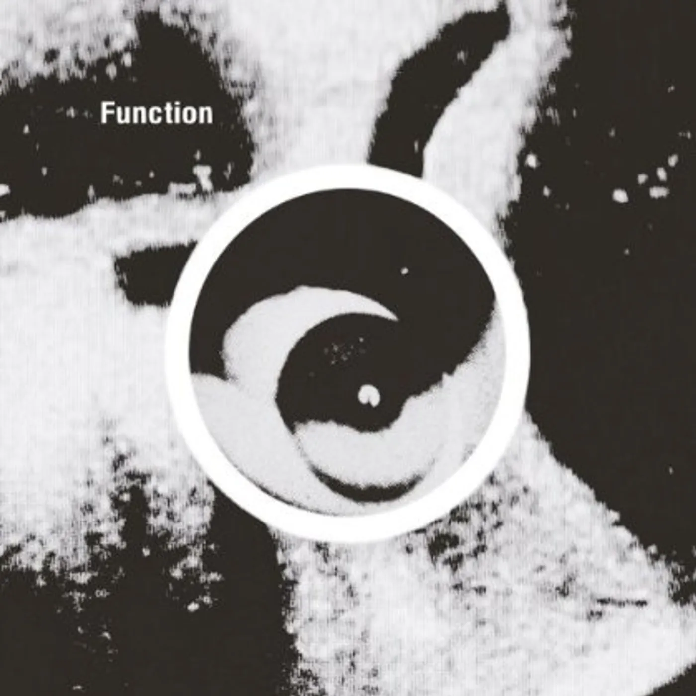 Function Gradient Vinyl Record