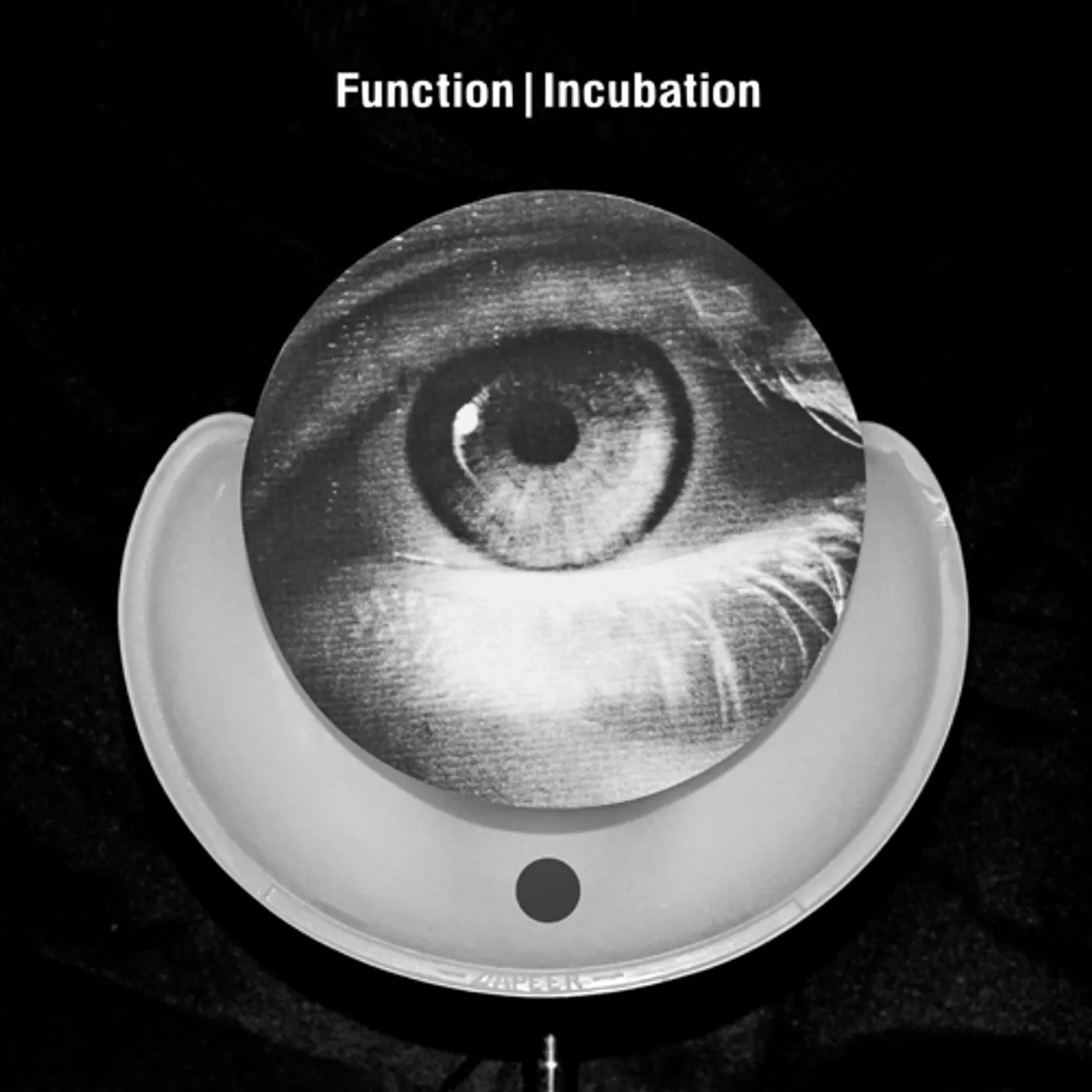 Function Incubation Vinyl Record