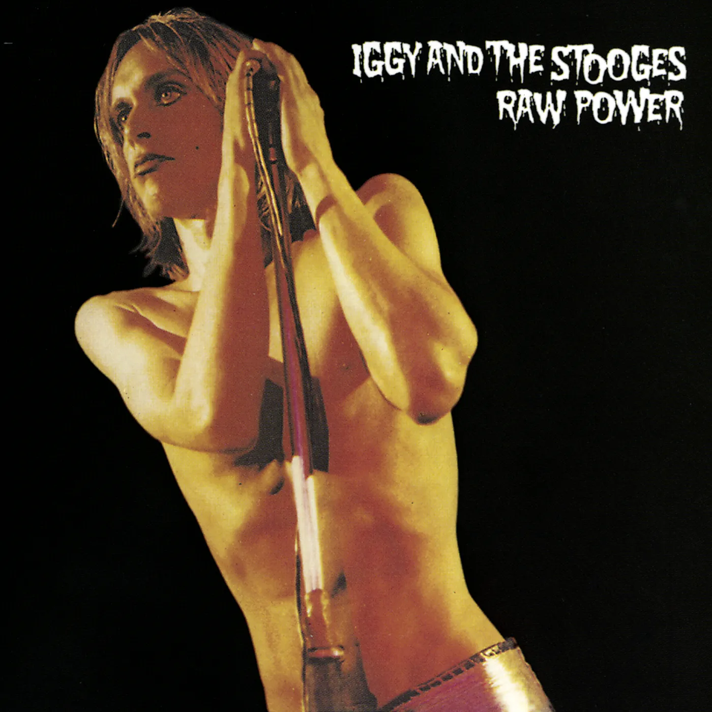 Iggy and the Stooges RAW POWER CD