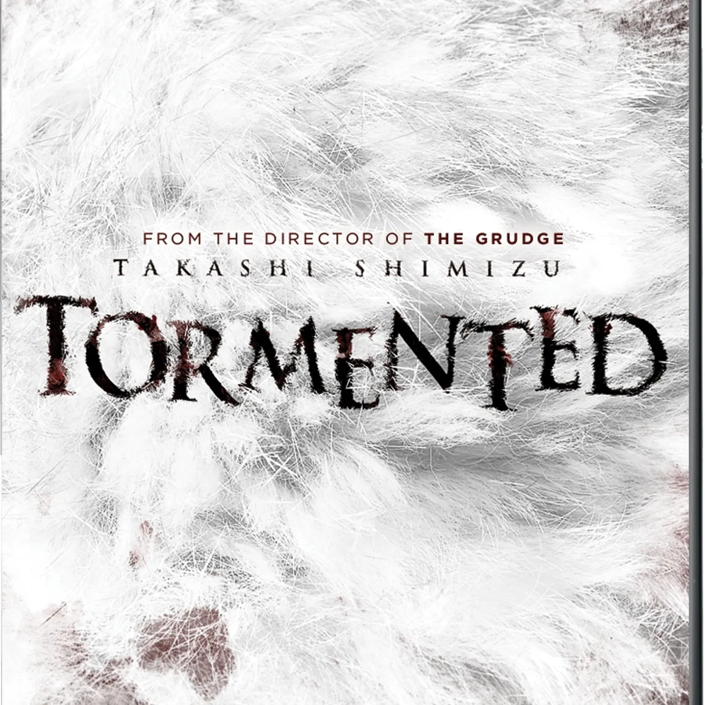 TORMENTED DVD
