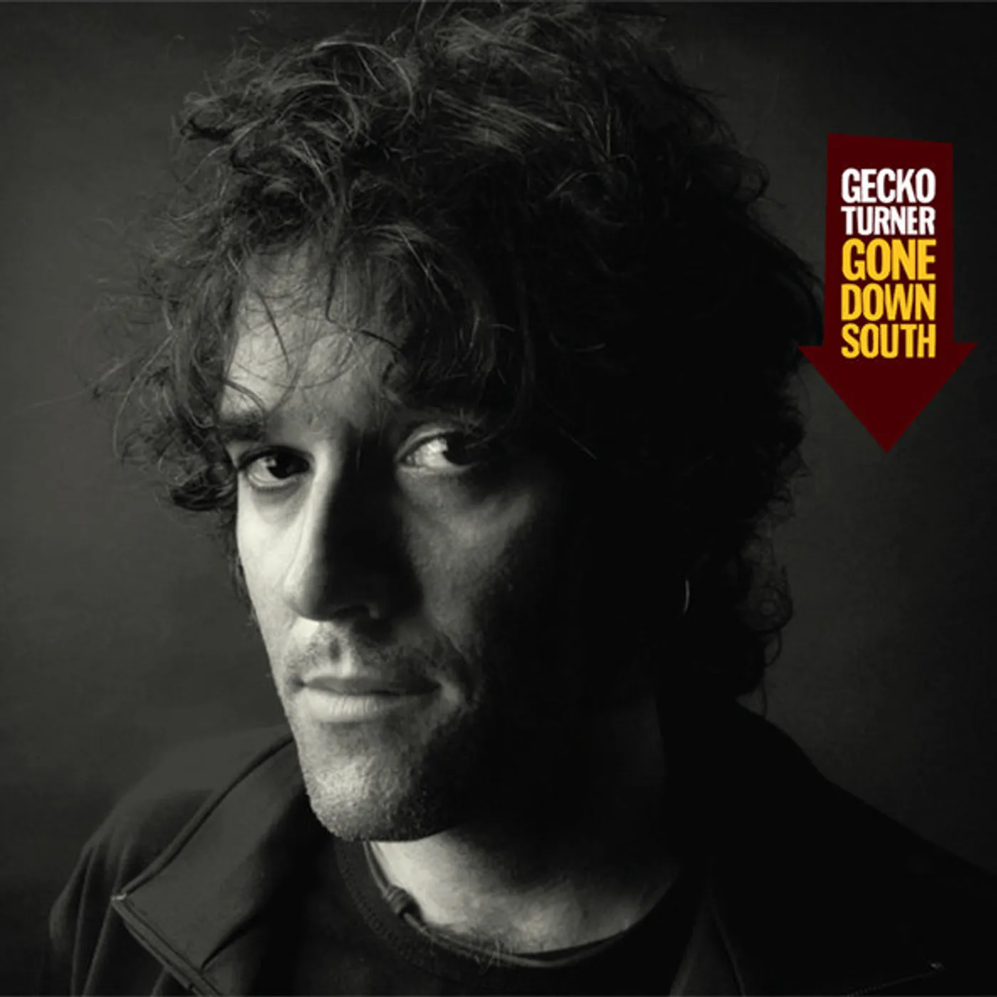 Gecko Turner Gone Down South Vinyl Record