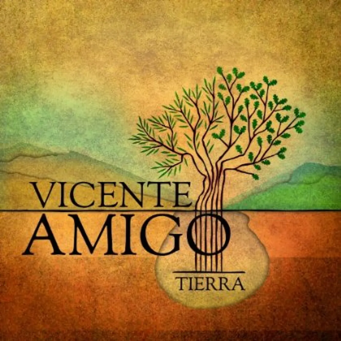 Vicente Amigo TIERRA CD