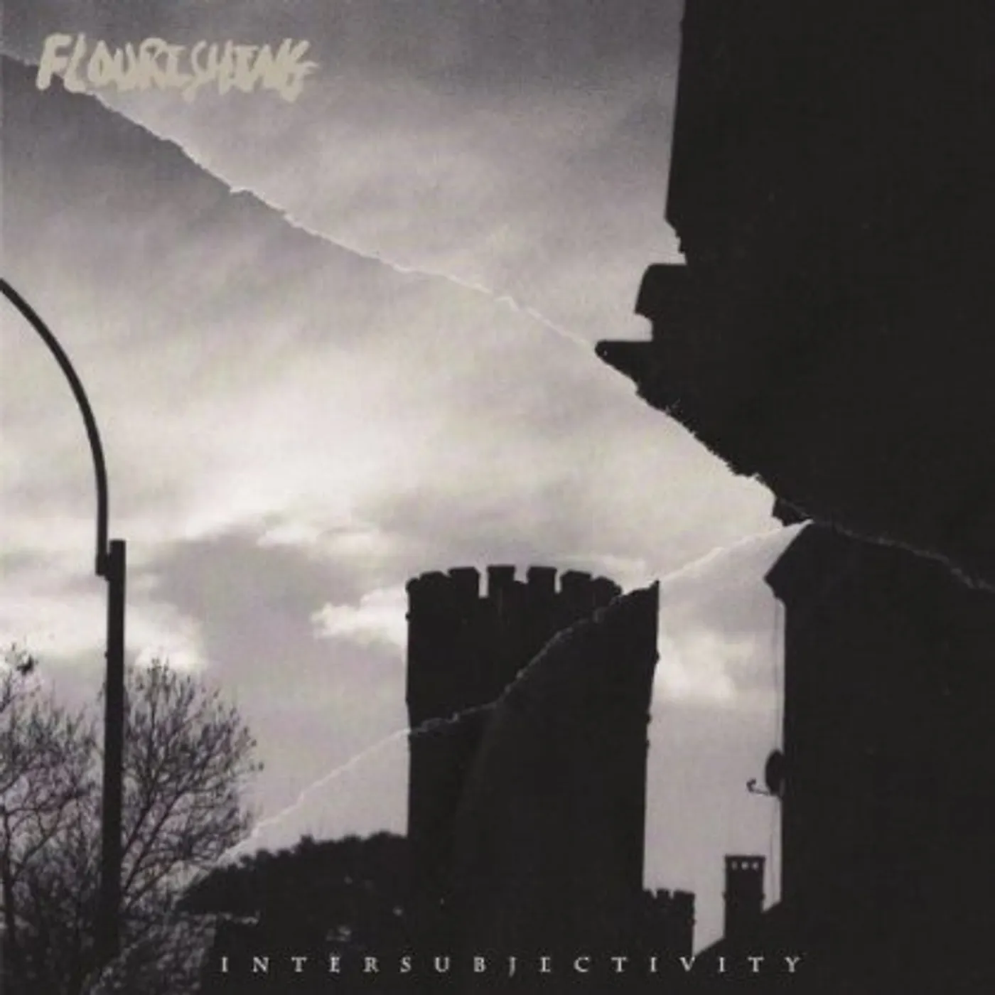 Flourishing INTERSUBJECTIVITY CD