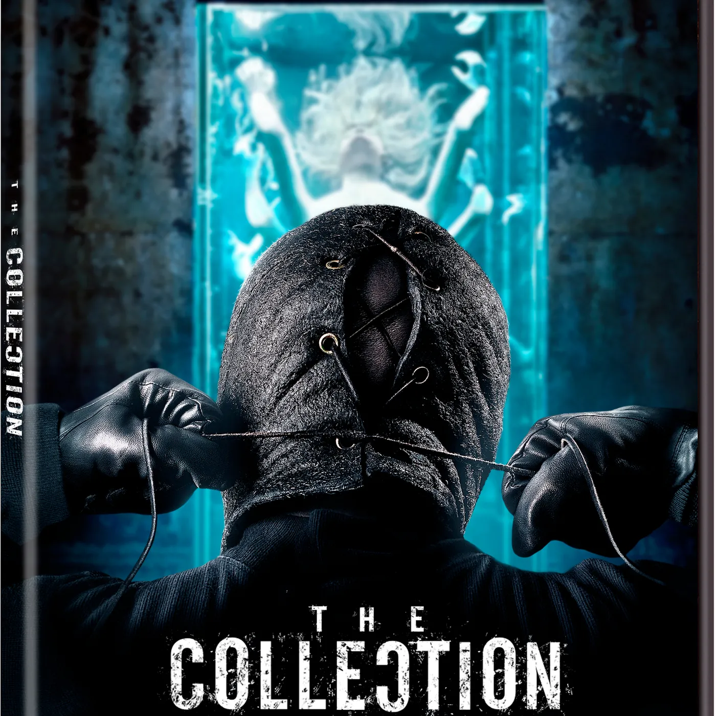 The Collection DVD