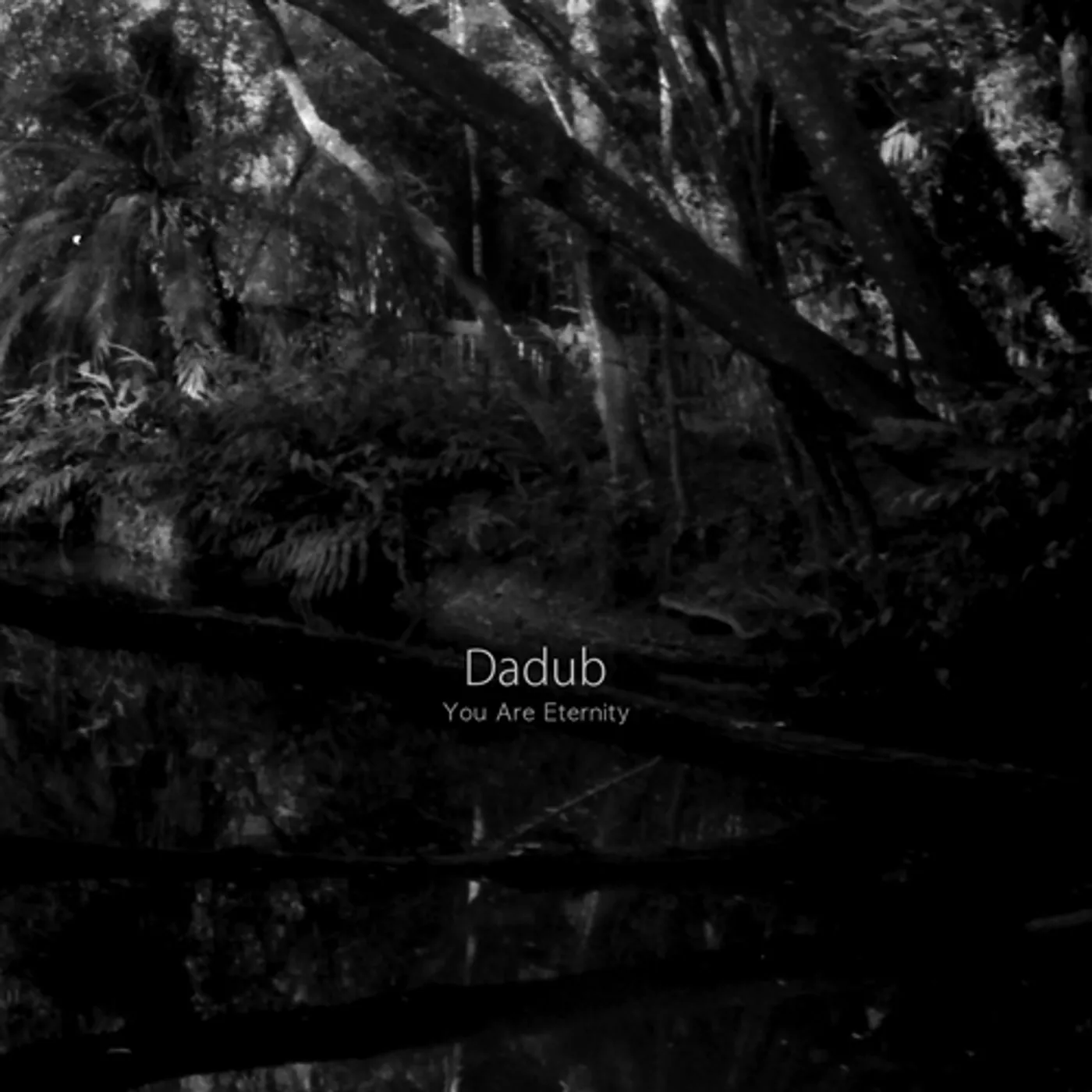 Dadub YOU ARE ETERNITY CD