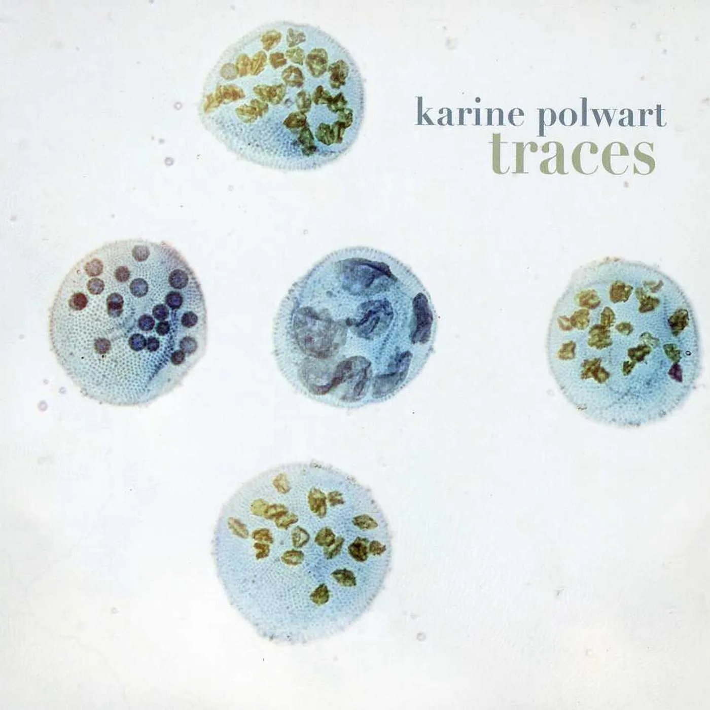Karine Polwart TRACES CD