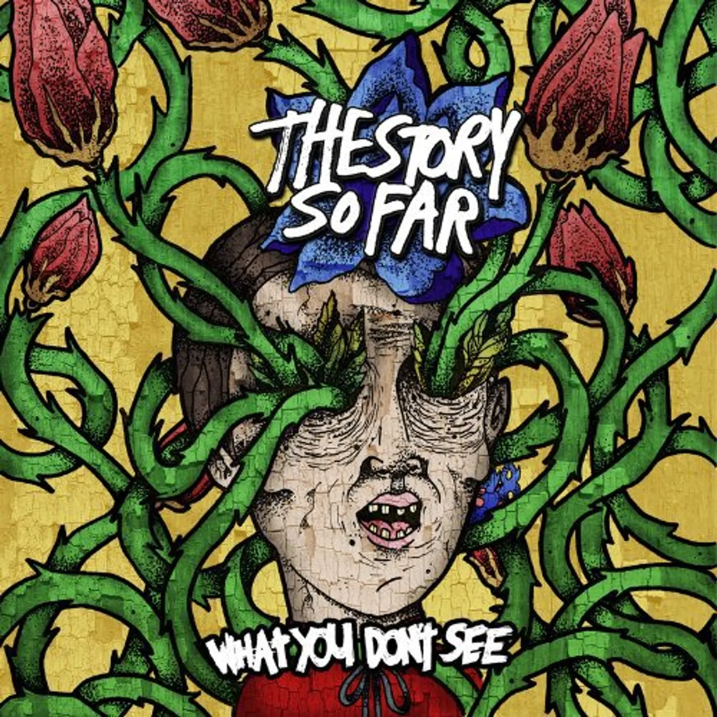 The Story So Far What You Don't See Vinyl Record