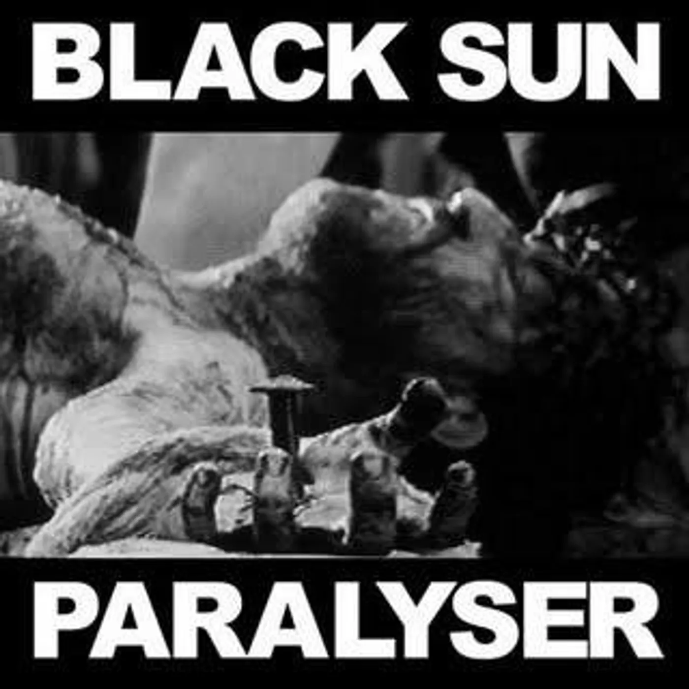 Black Sun PARALYSER Vinyl Record