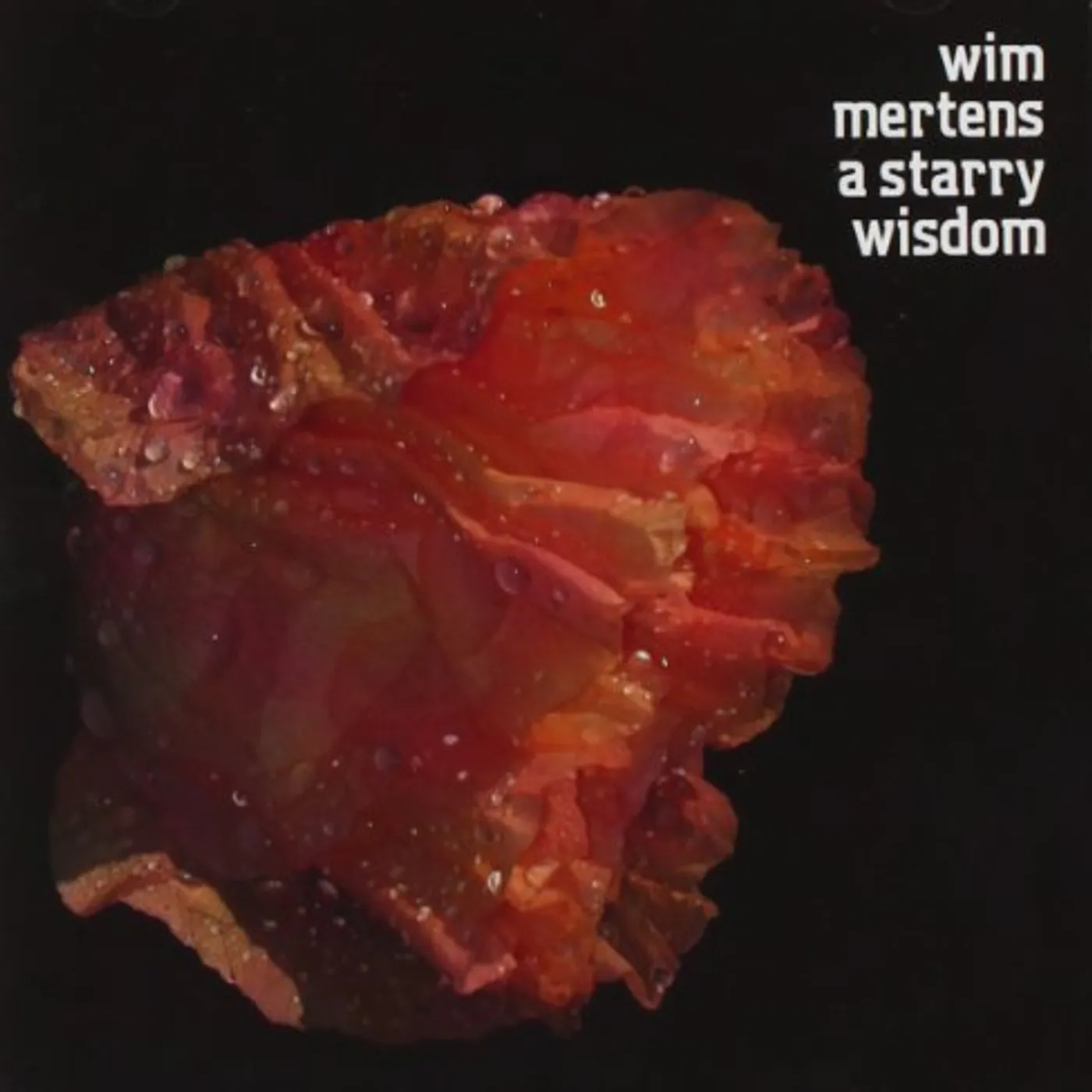 Wim Mertens STARRY WISDOM CD