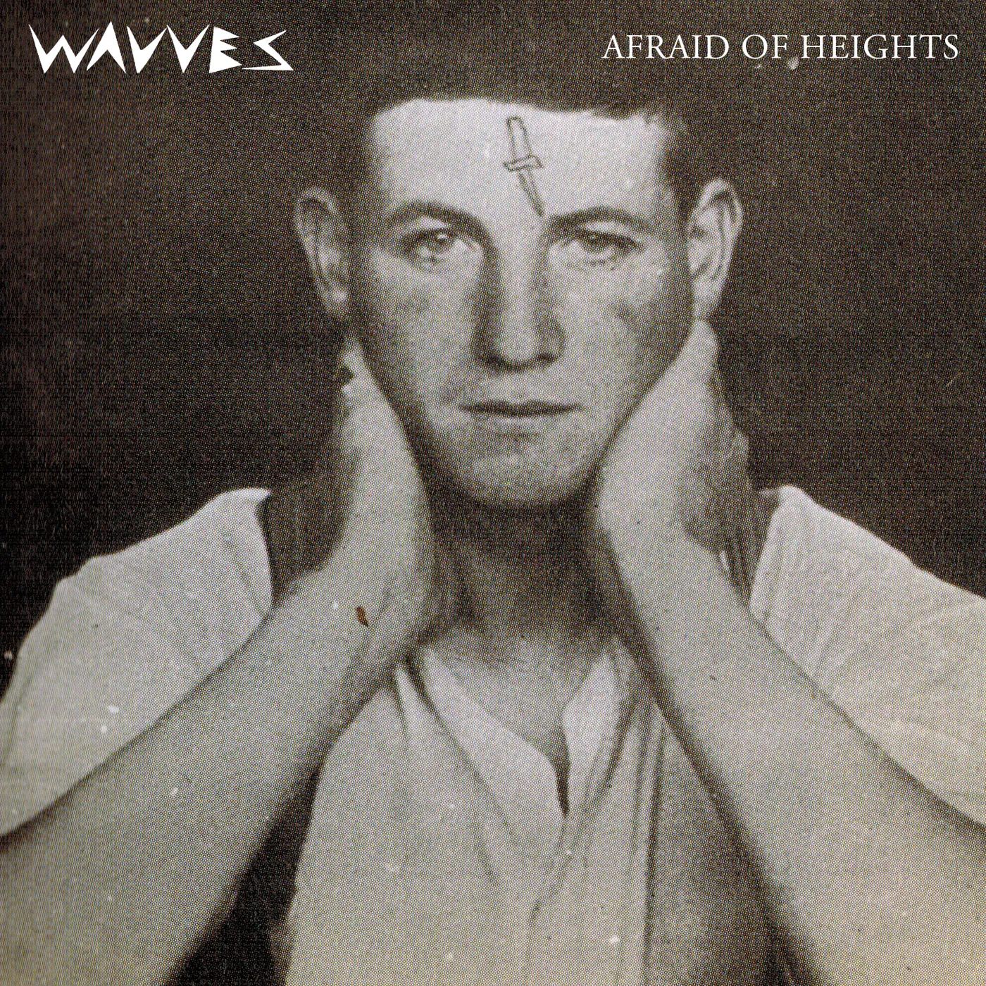 Wavves AFRAID OF HEIGHTS CD