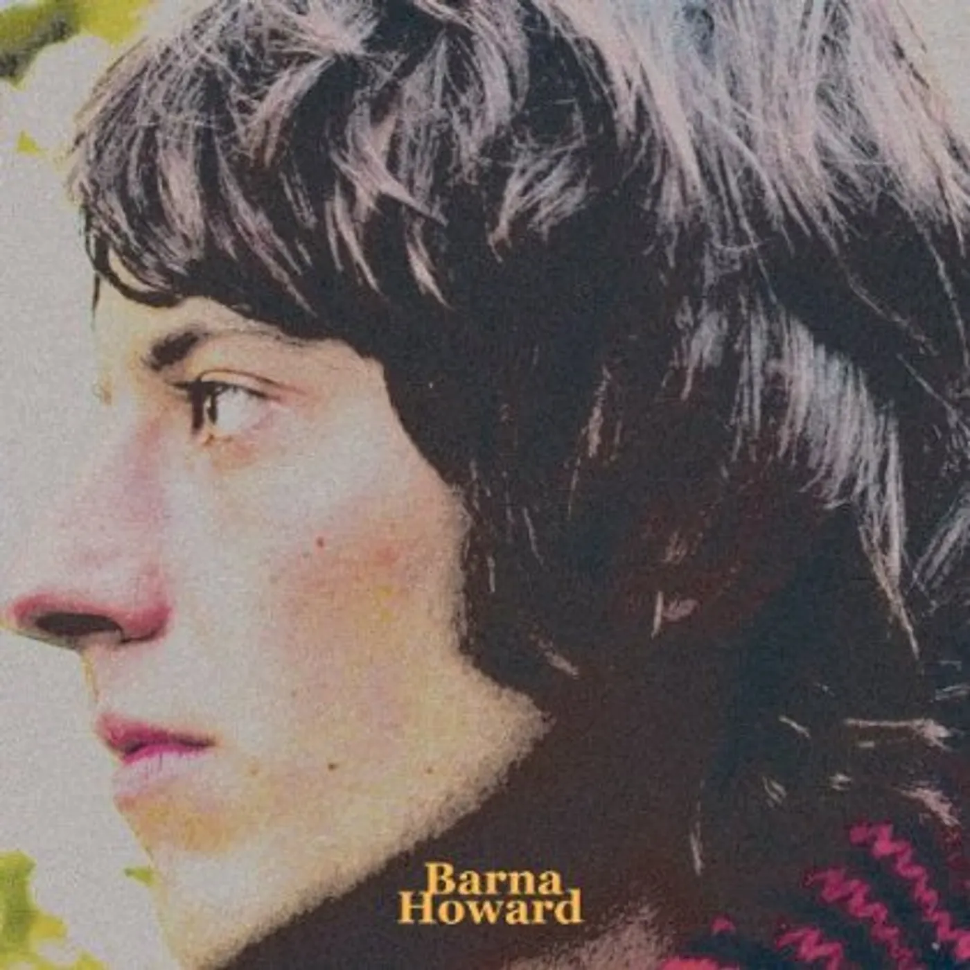BARNA HOWARD CD