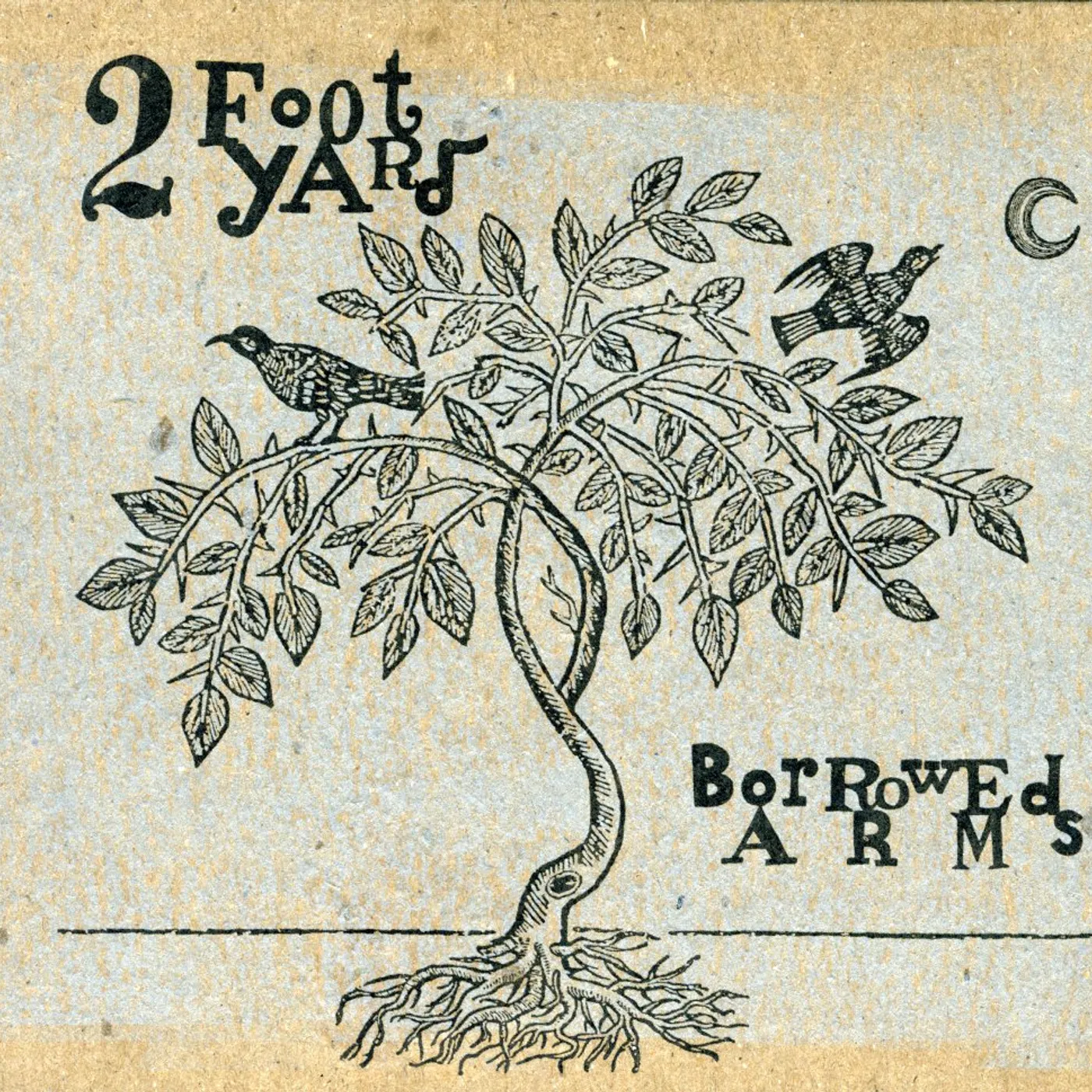 2 Foot Yard BORROWED ARMS CD