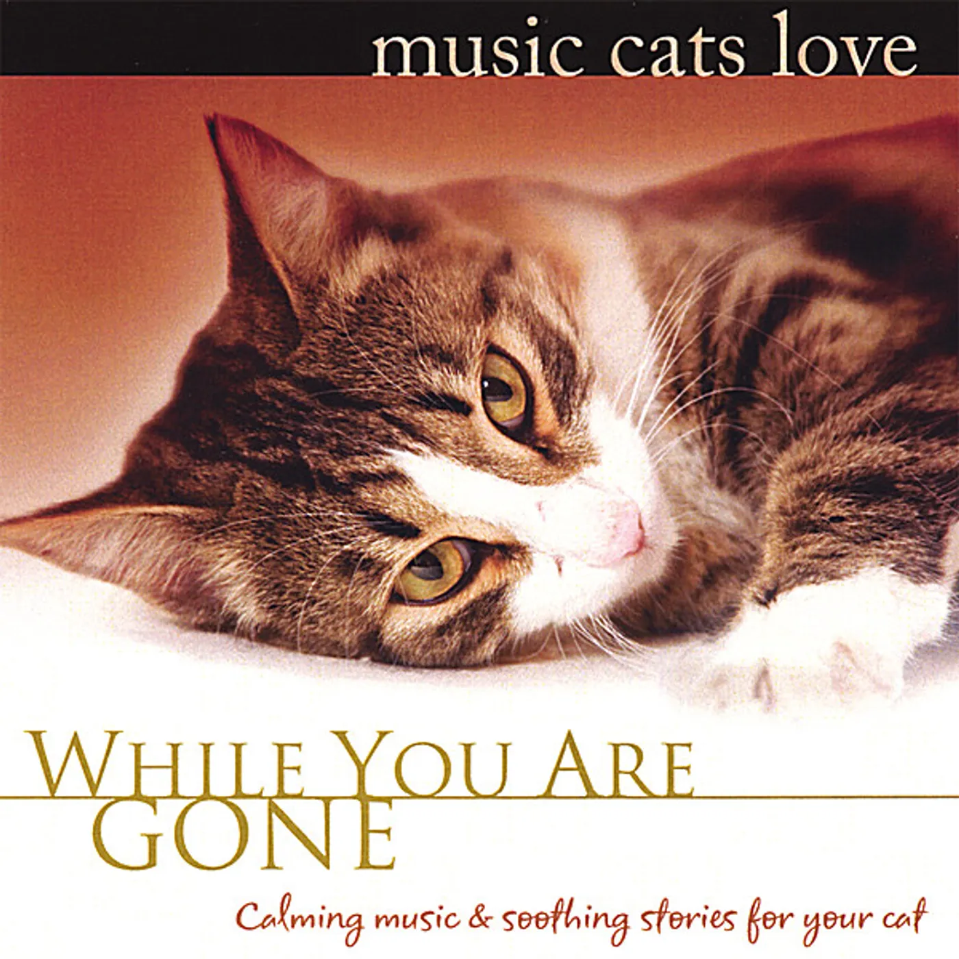 Bradley Joseph MUSIC CATS LOVE: WHILE YOU ARE GONE CD