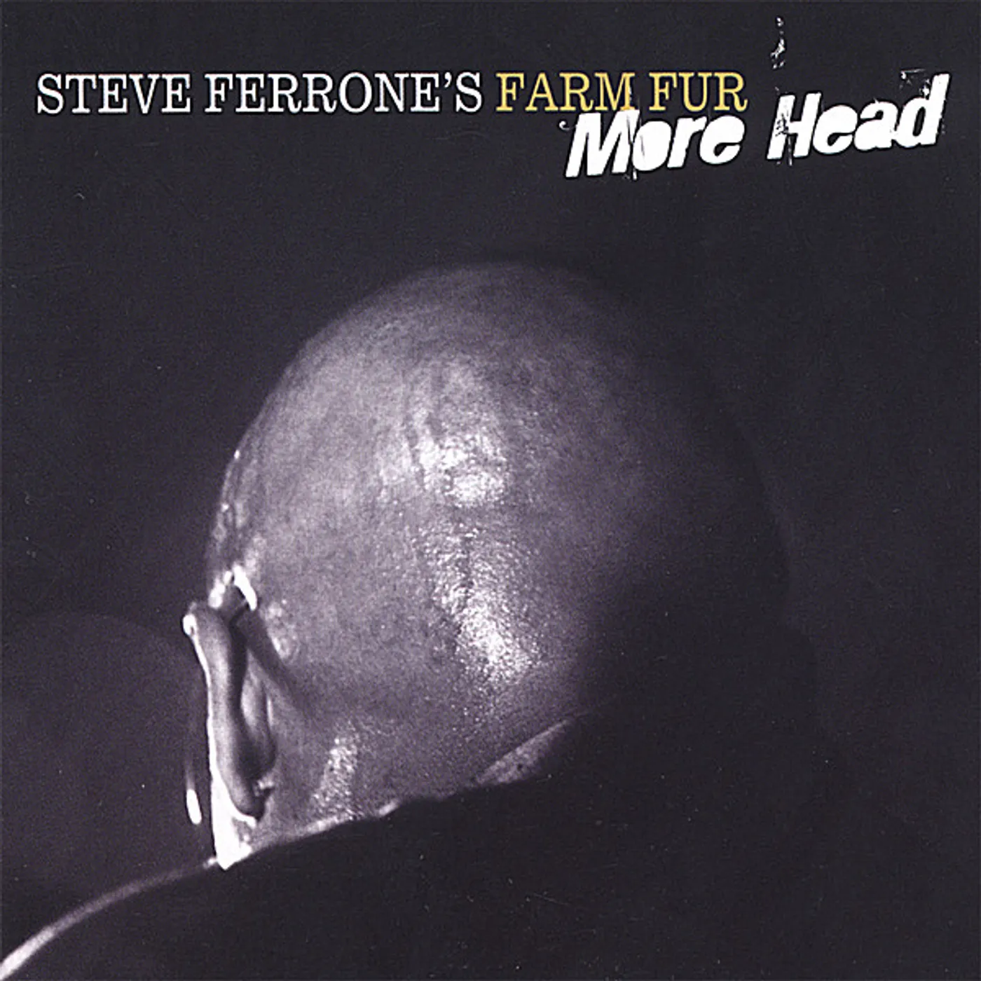 Stephen Ferrone FARM FUR MORE HEAD CD